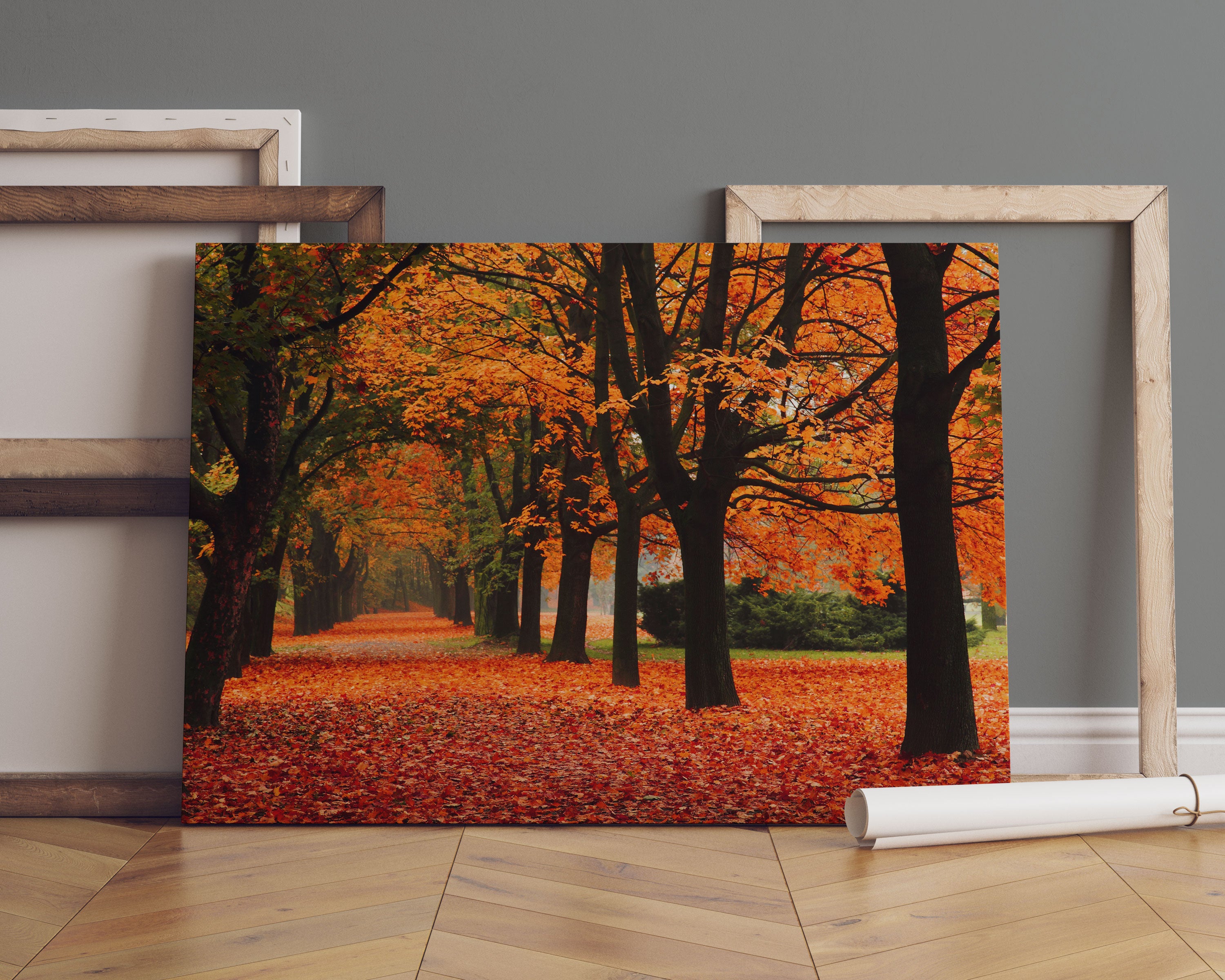 Baumallee im Herbst Leinwandbild Sofa