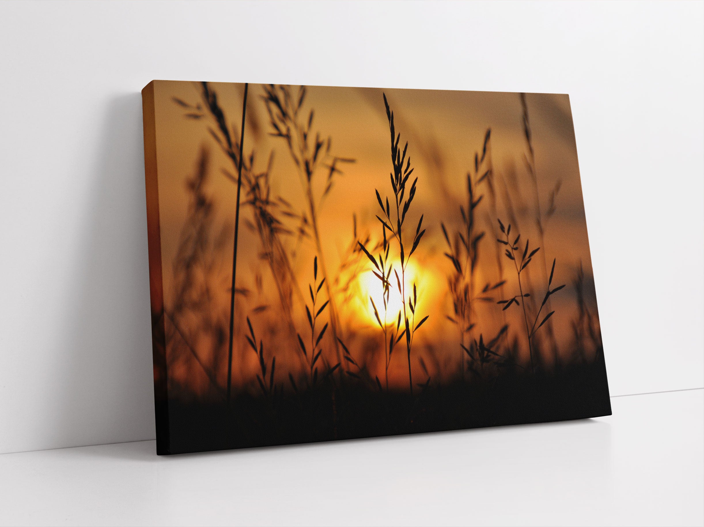 Gras bei Sonnenuntergang Leinwandbild Studio