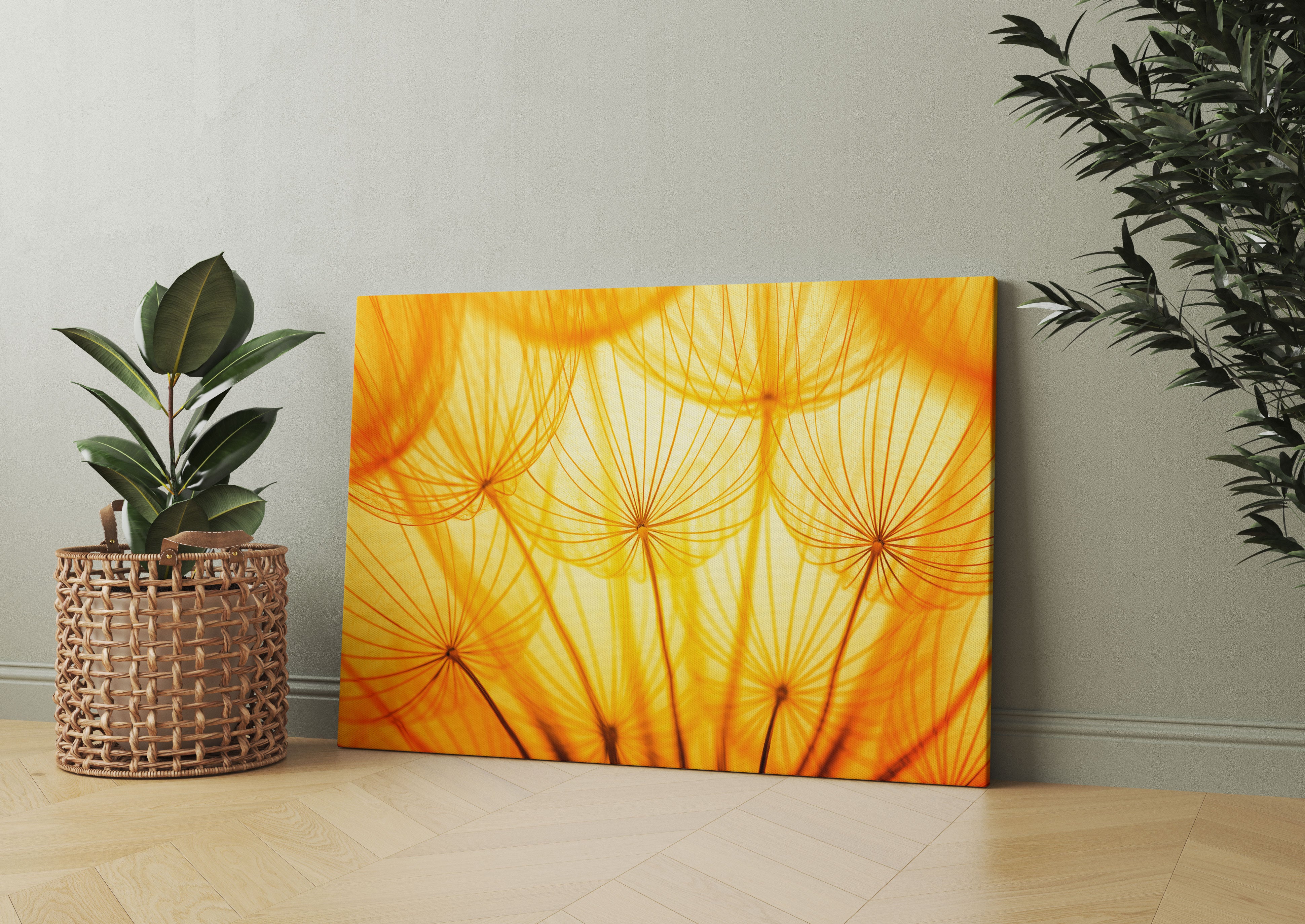 Pusteblumen oranges Licht Leinwandbild Wohnzimmer