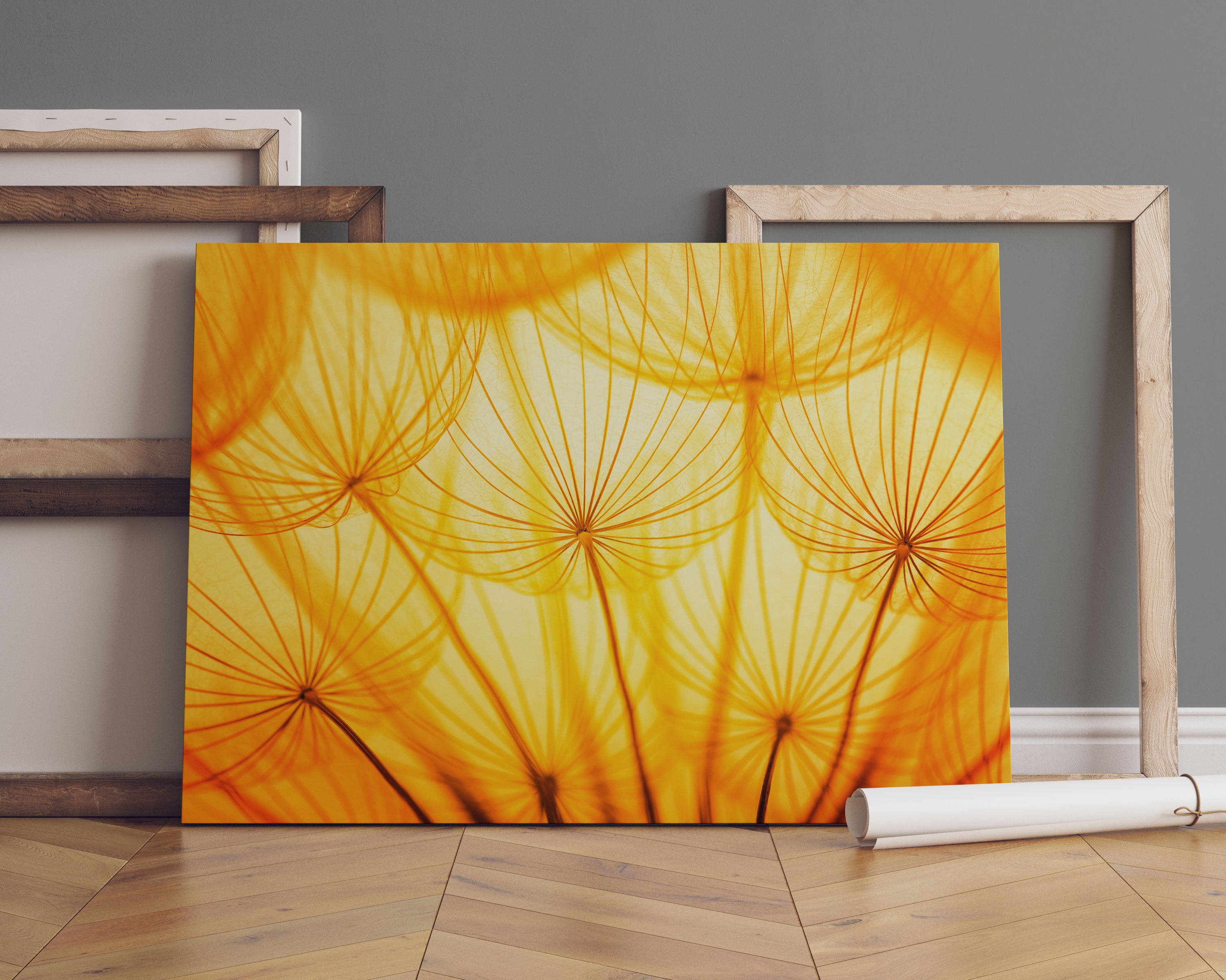 Pusteblumen oranges Licht Leinwandbild Sofa