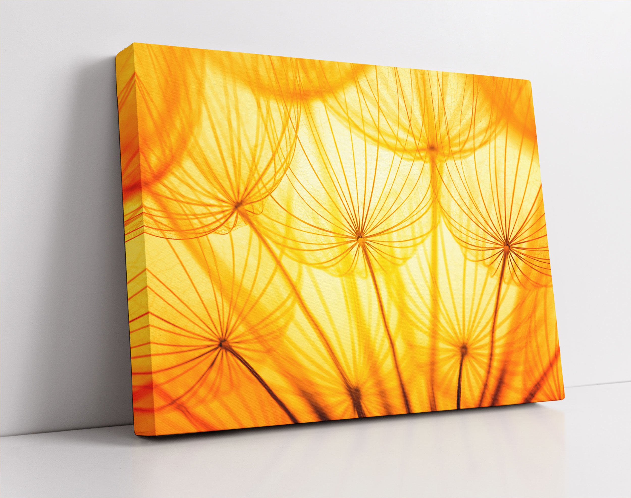 Pusteblumen oranges Licht - Leinwandbild