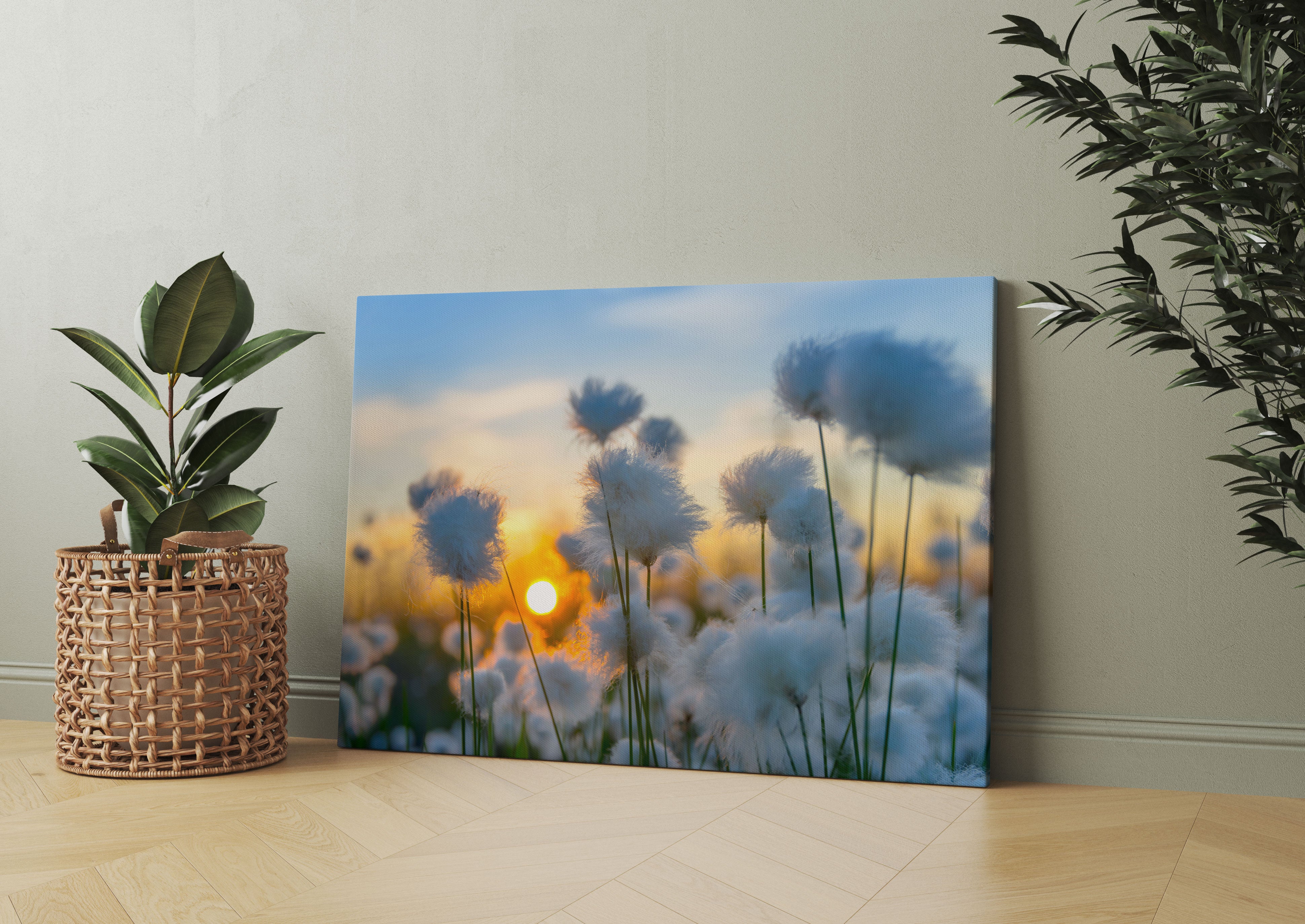 Baumwollblüten im Sonnenuntergang Leinwandbild Wohnzimmer