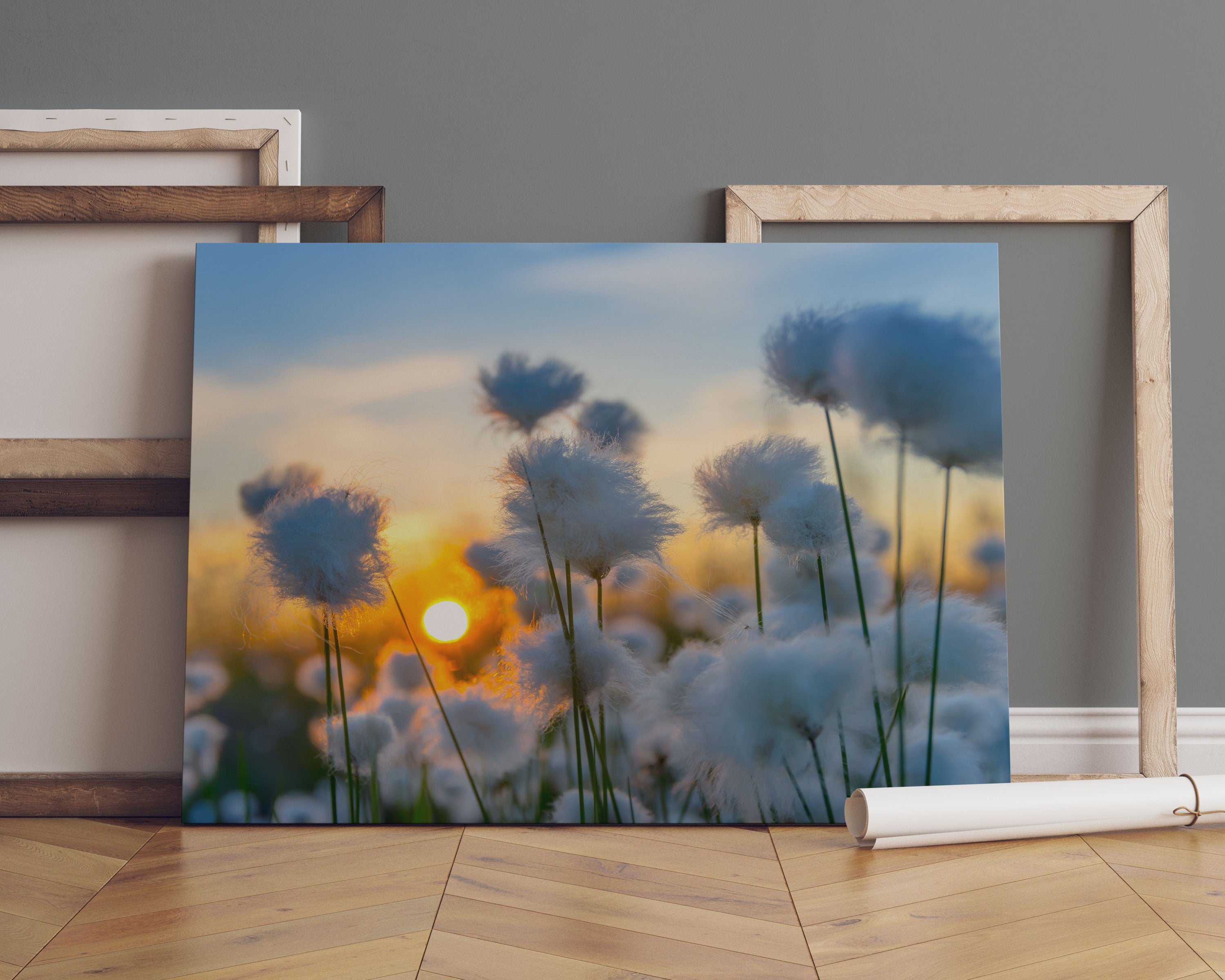 Baumwollblüten im Sonnenuntergang Leinwandbild Sofa