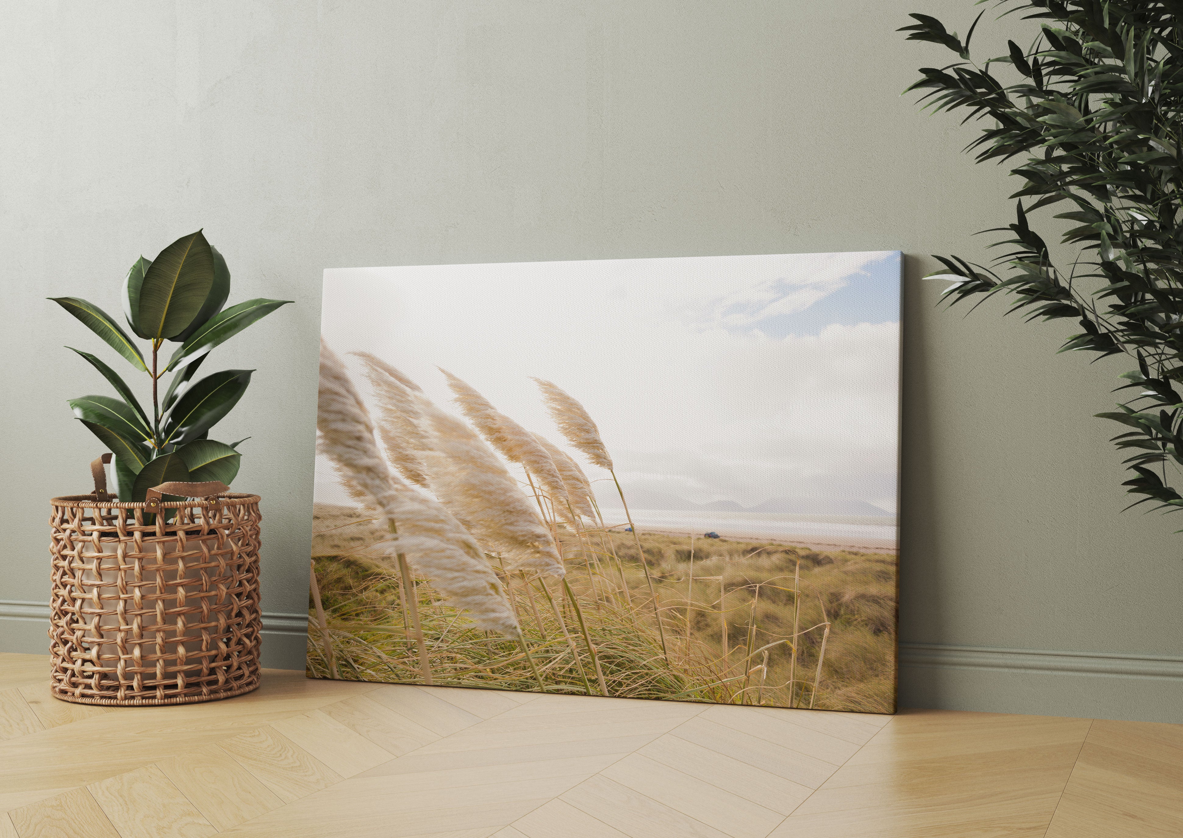 Schönes Schilf in den Dünen Leinwandbild Wohnzimmer