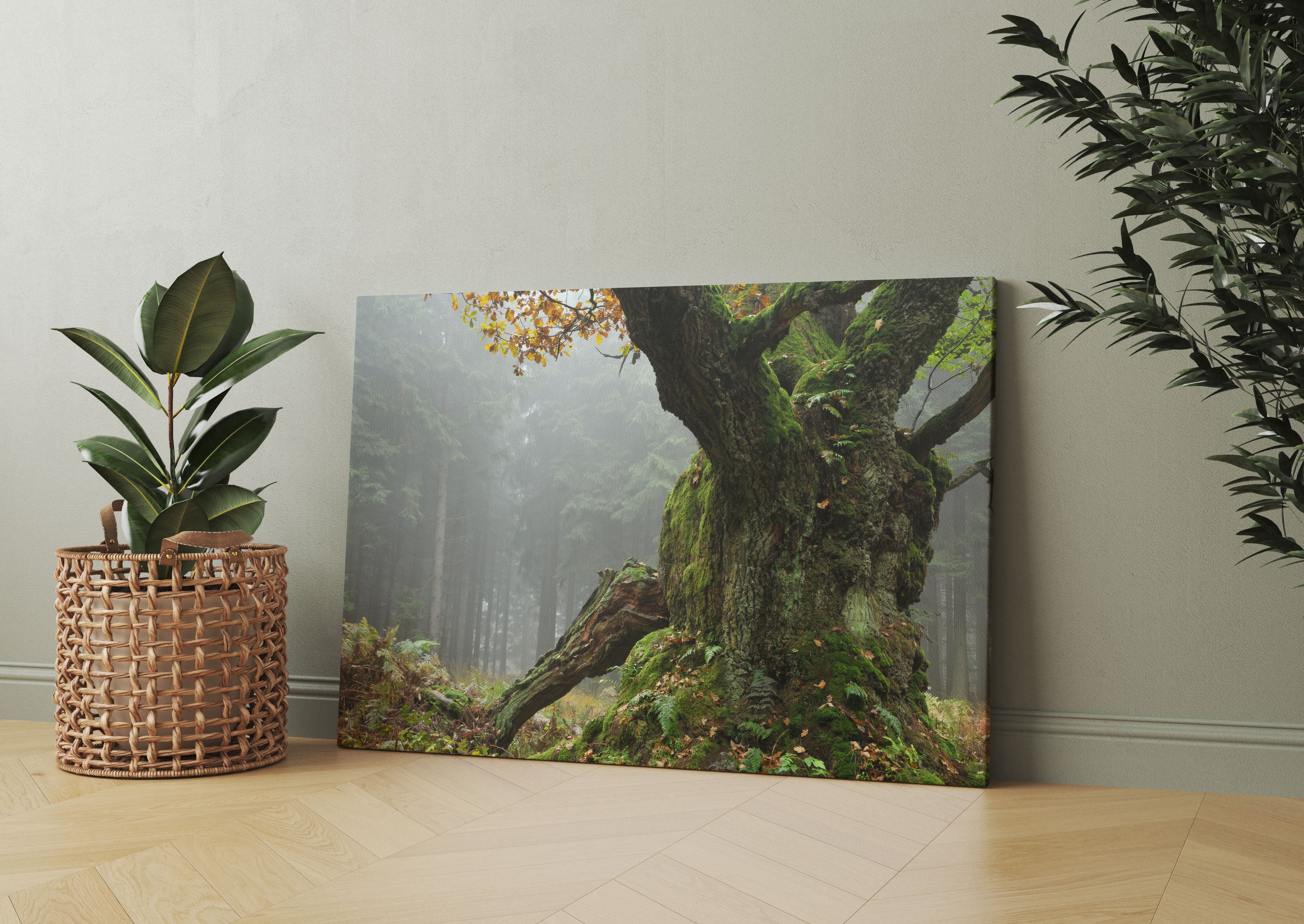 Dicker Baum im Wald im Moos Leinwandbild Wohnzimmer