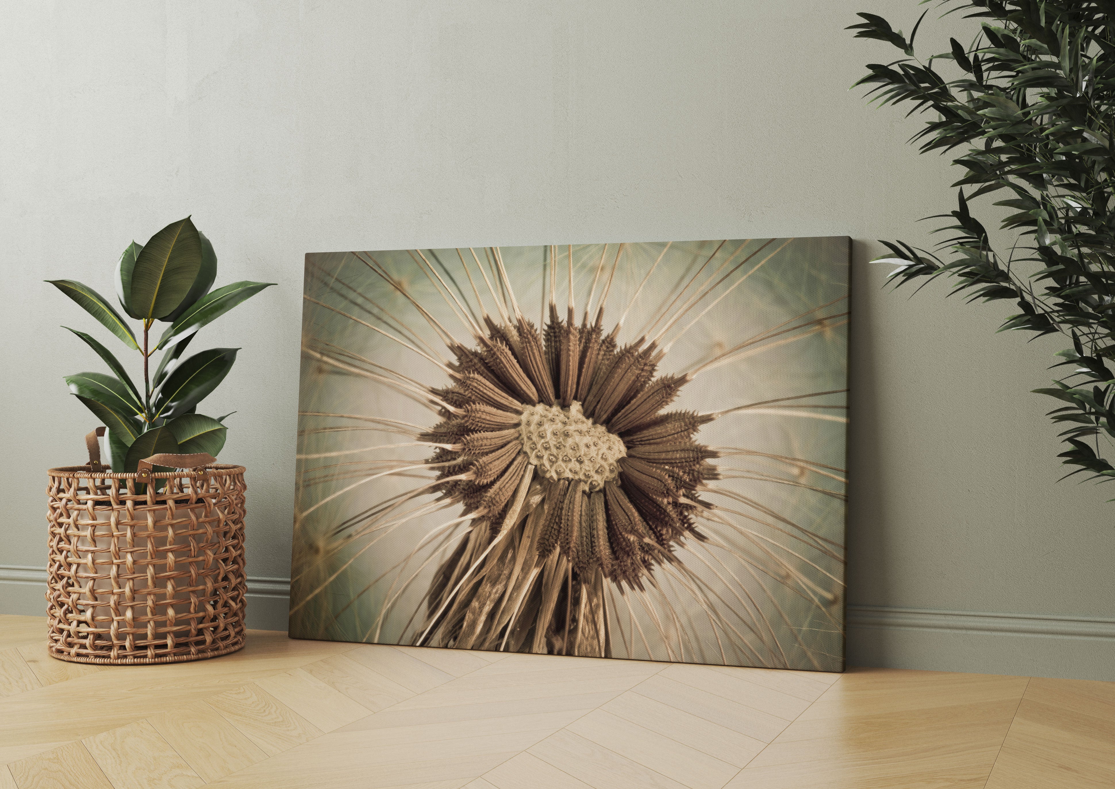 Vertrocknete Pusteblume Leinwandbild Wohnzimmer