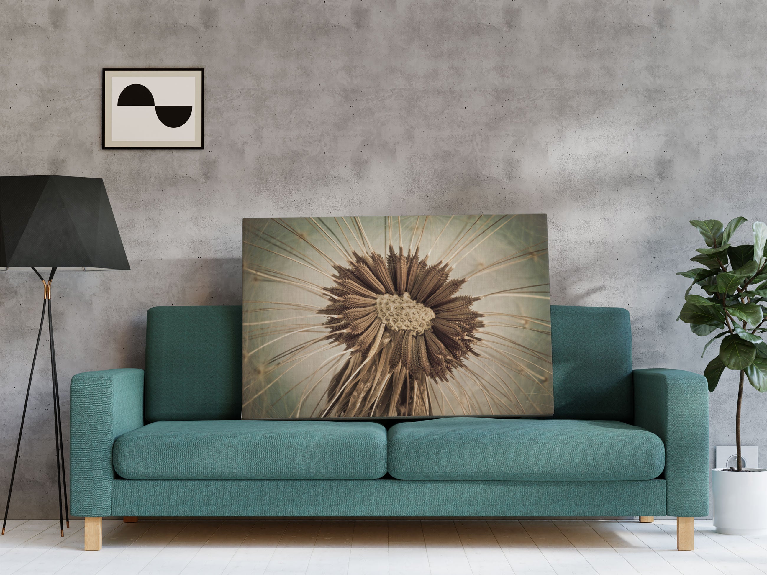 Vertrocknete Pusteblume Leinwandbild Regal