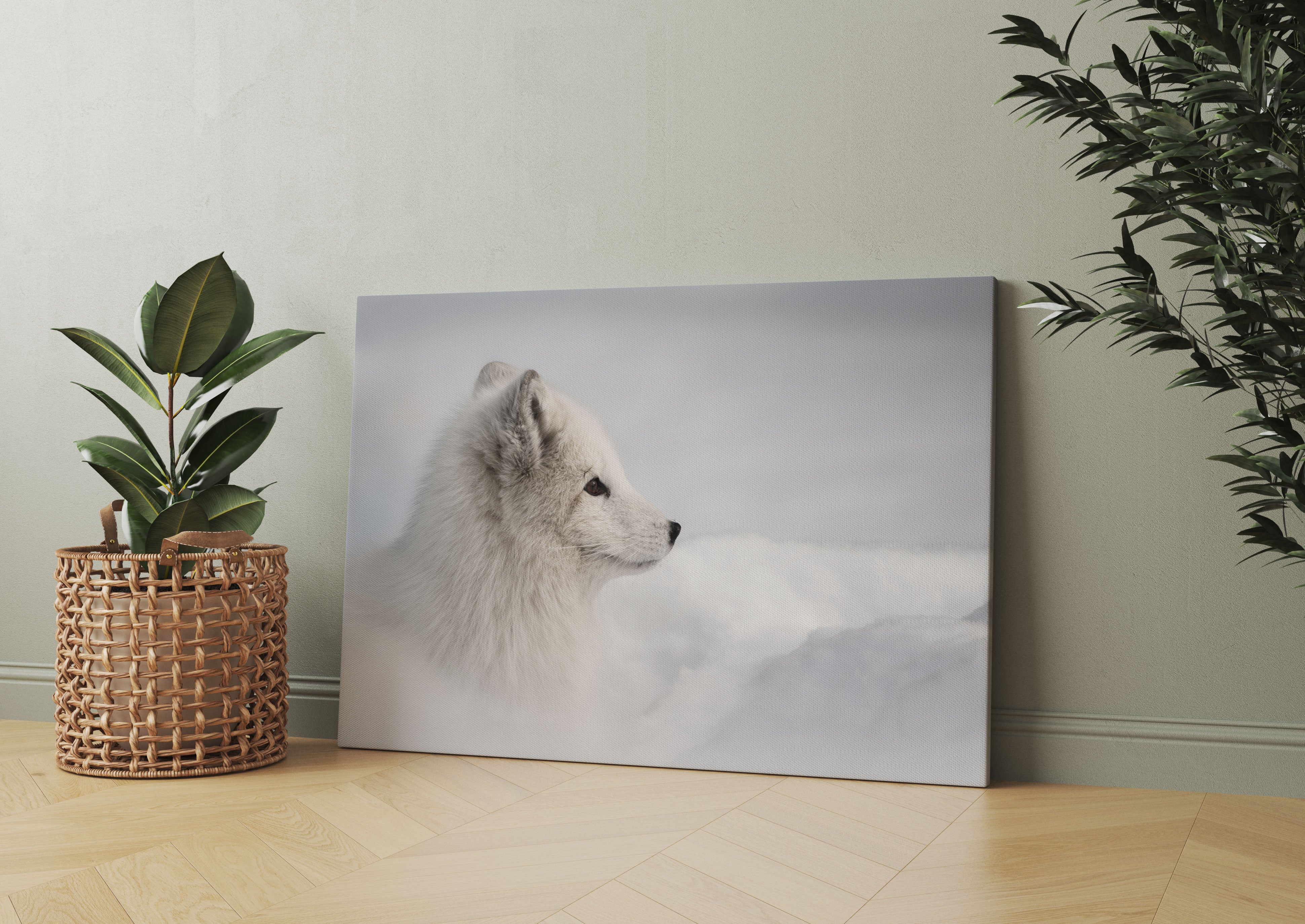 Anmutiger Polarfuchs im Schnee Leinwandbild Wohnzimmer