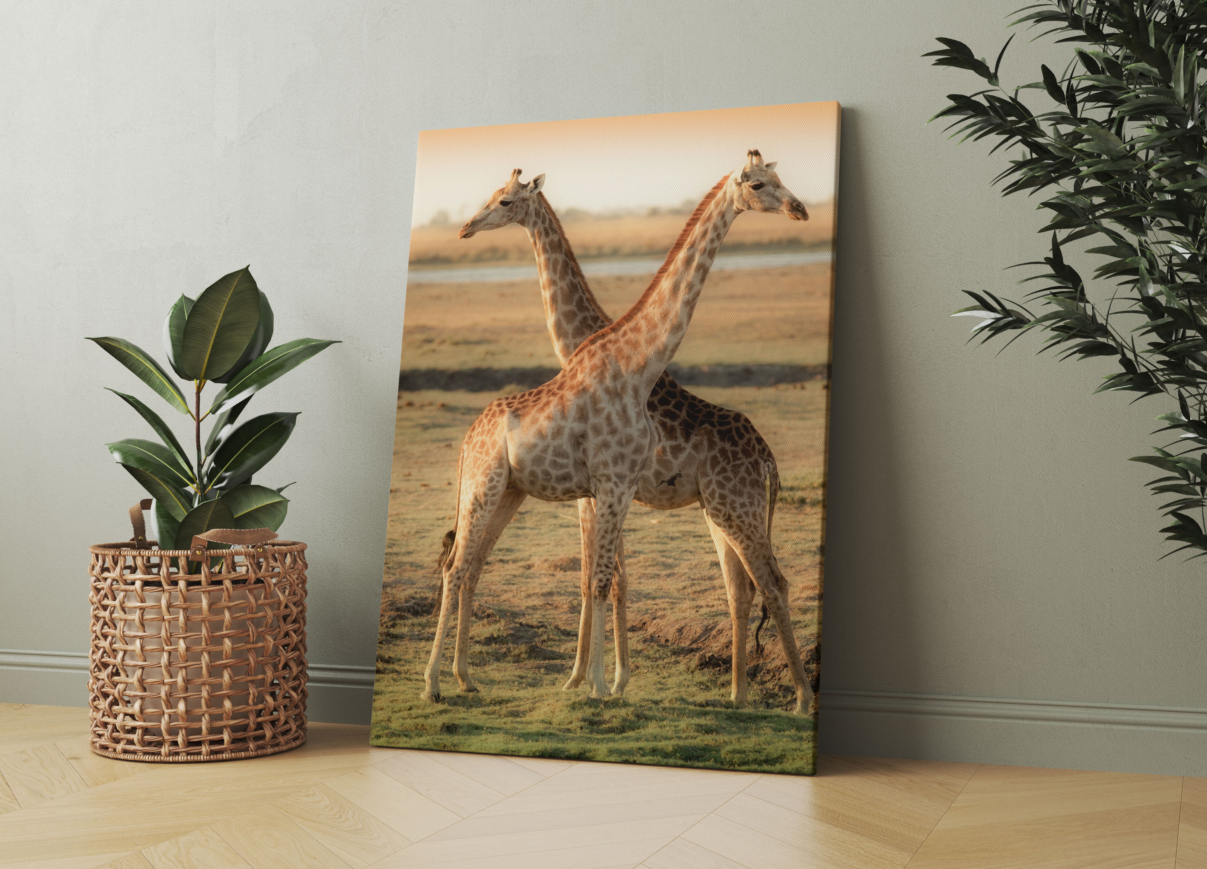 Giraffen Paar Leinwandbild Wohnzimmer