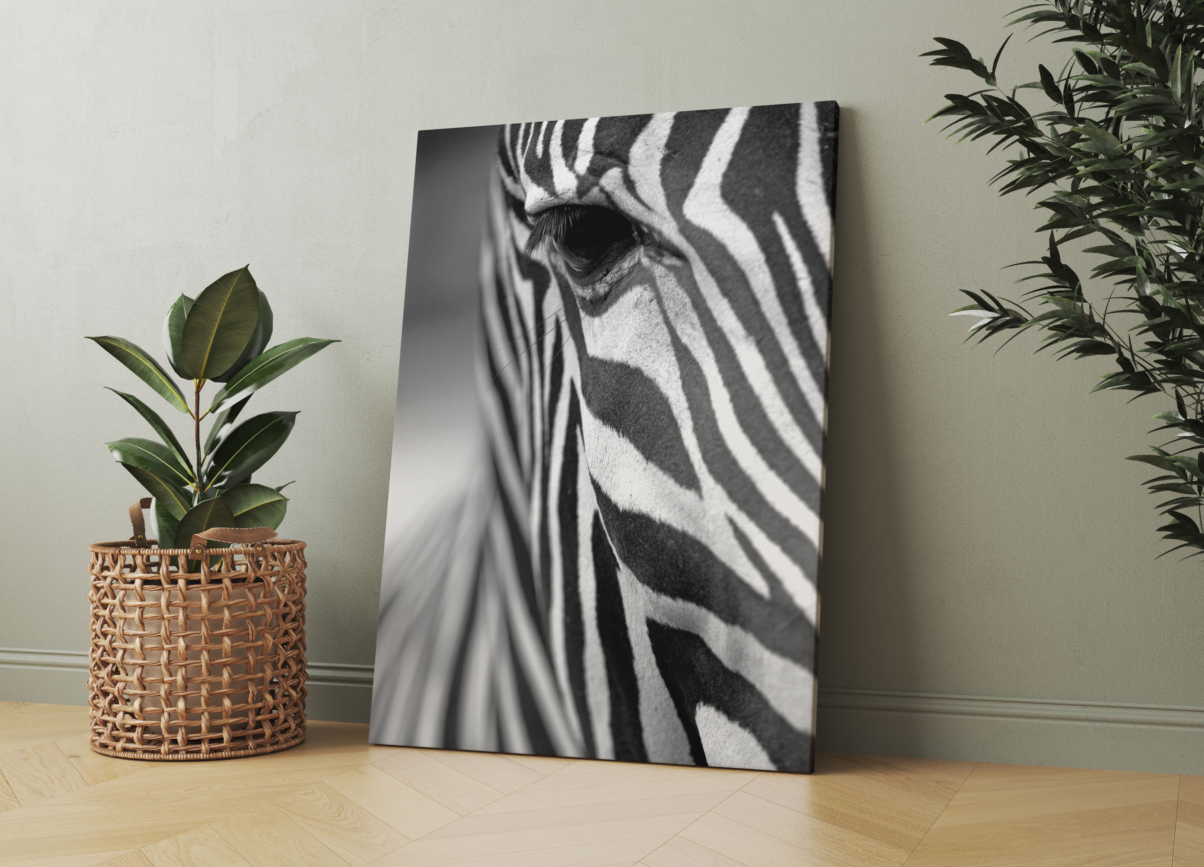 Zebra Nahaufnahme Leinwandbild Wohnzimmer