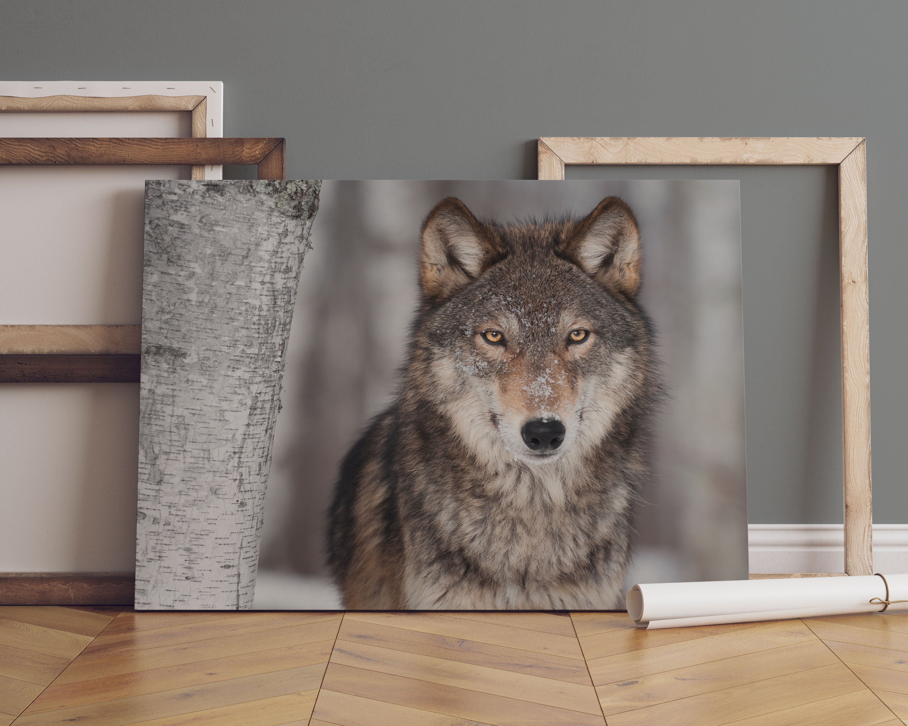 Wachsamer Wolf Leinwandbild Sofa