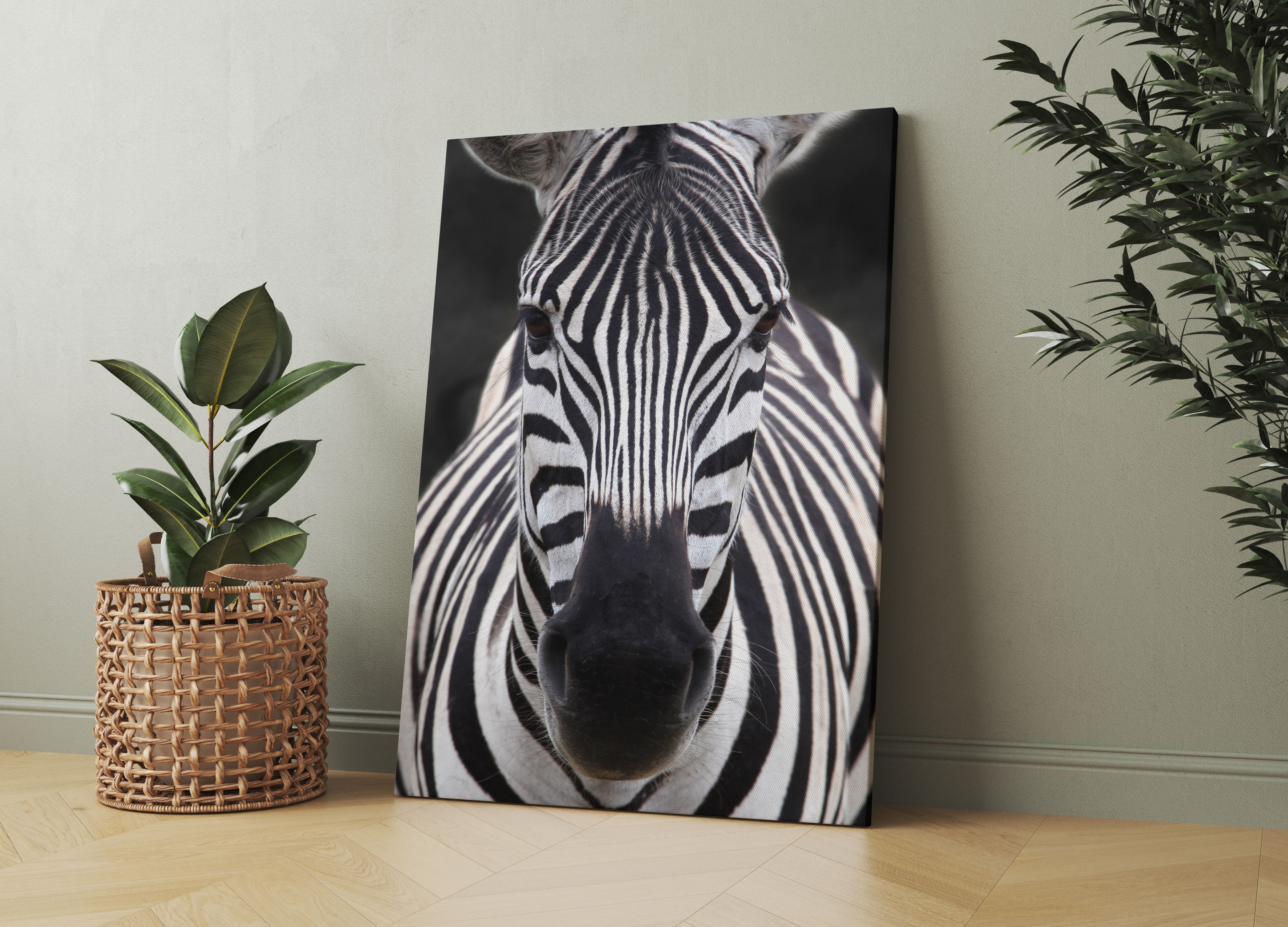 Zebra Porträt Leinwandbild Wohnzimmer