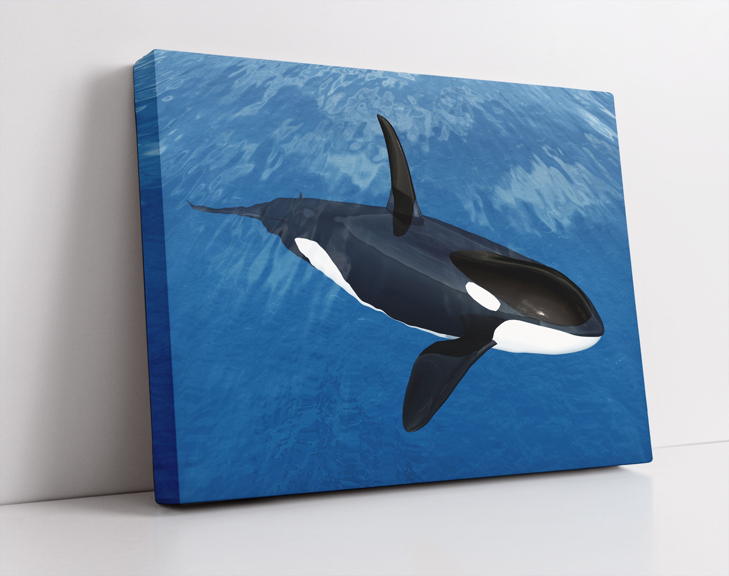 Orca im blauen Meer - Leinwandbild