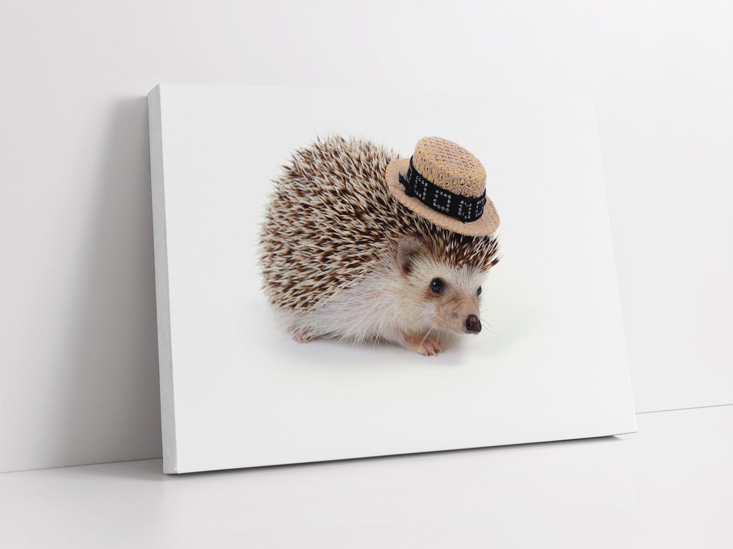 Lustiger Igel mit Hut Leinwandbild Studio