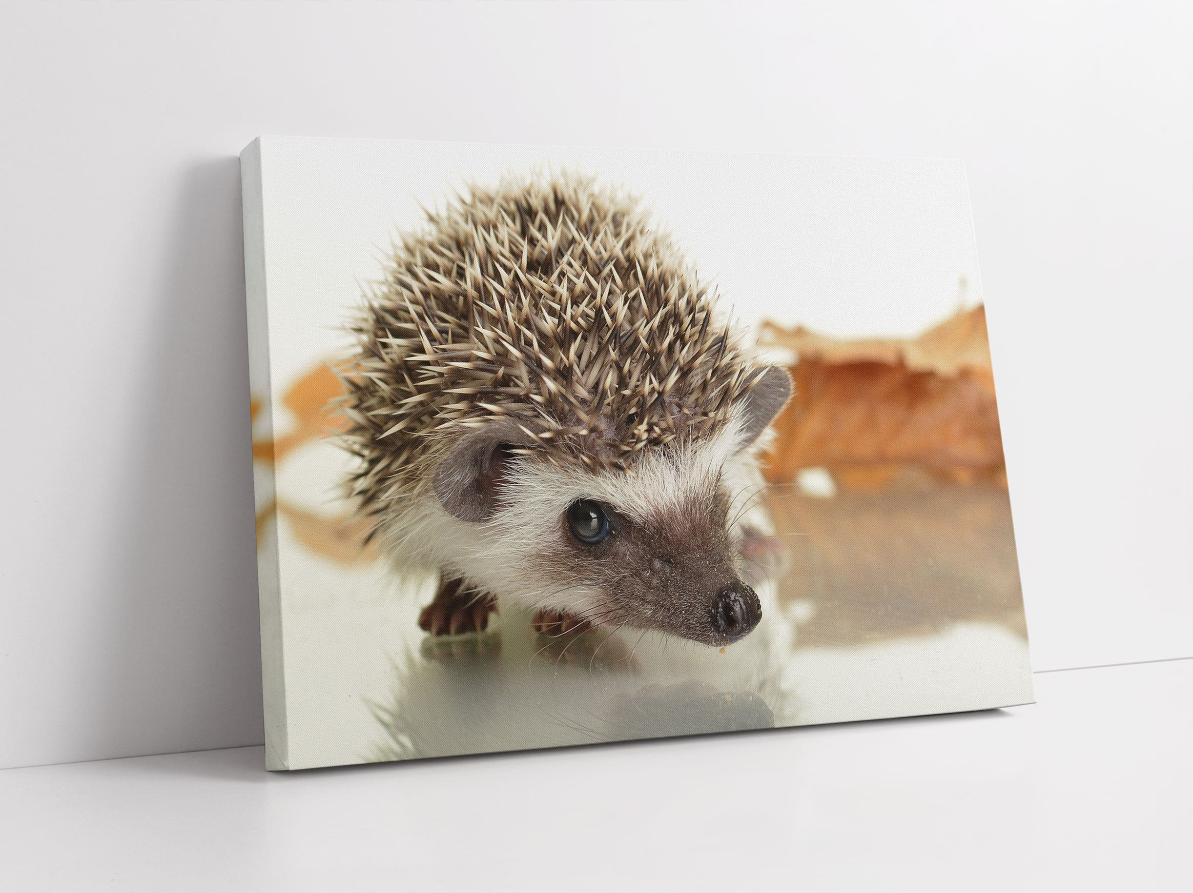 Süßer Igel Leinwandbild Studio