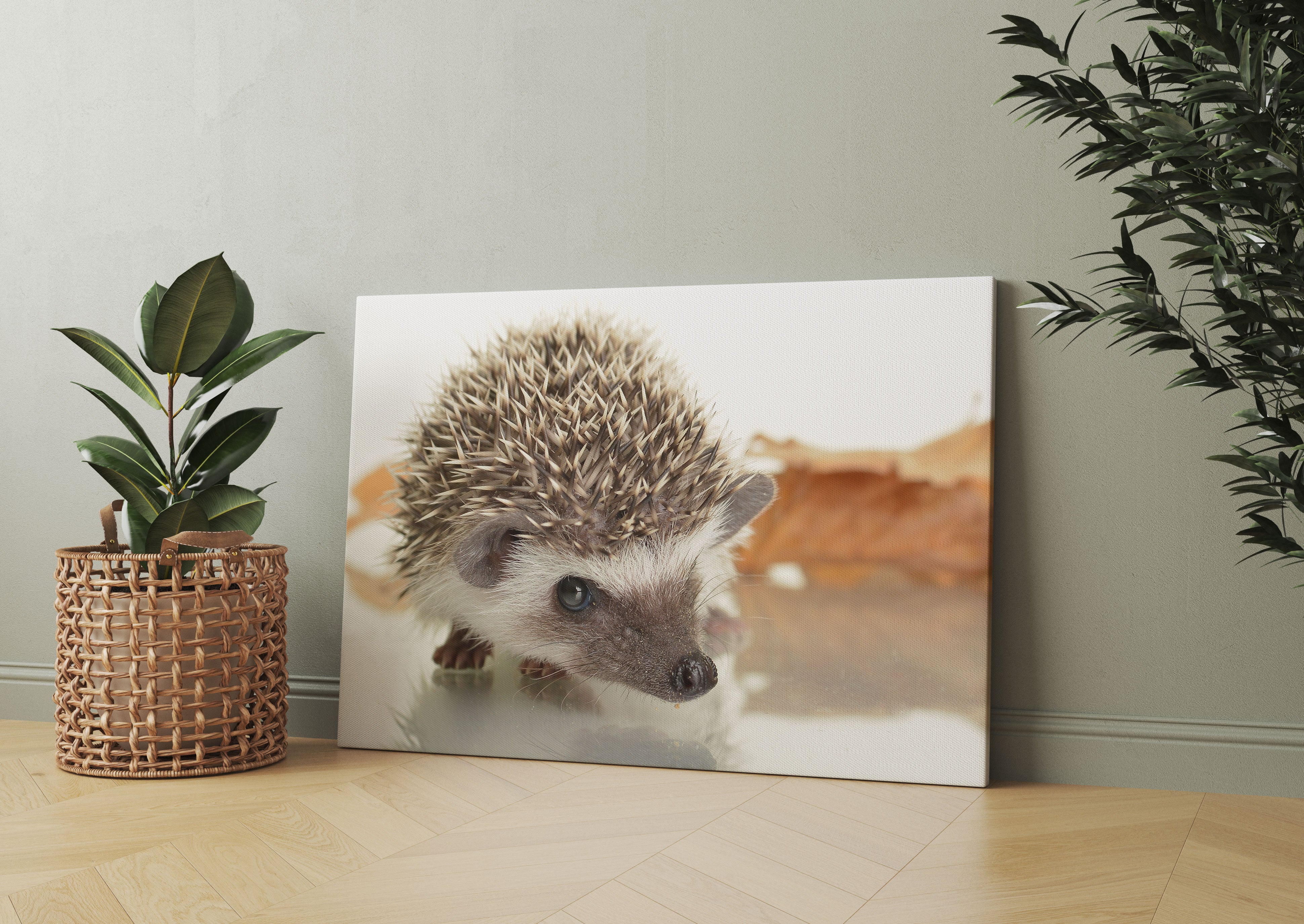 Süßer Igel Leinwandbild Wohnzimmer