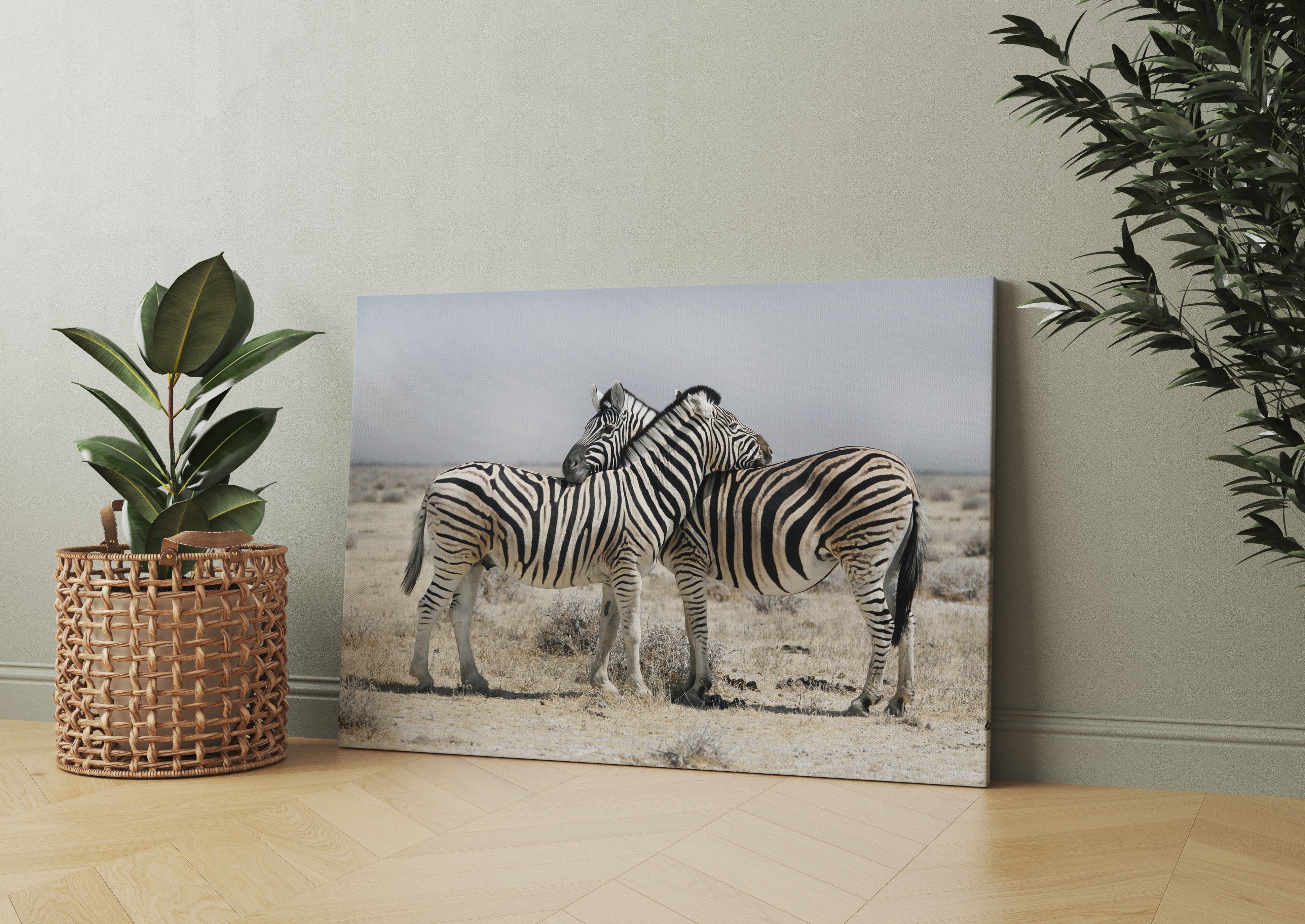 Schmusende Zebras Leinwandbild Wohnzimmer