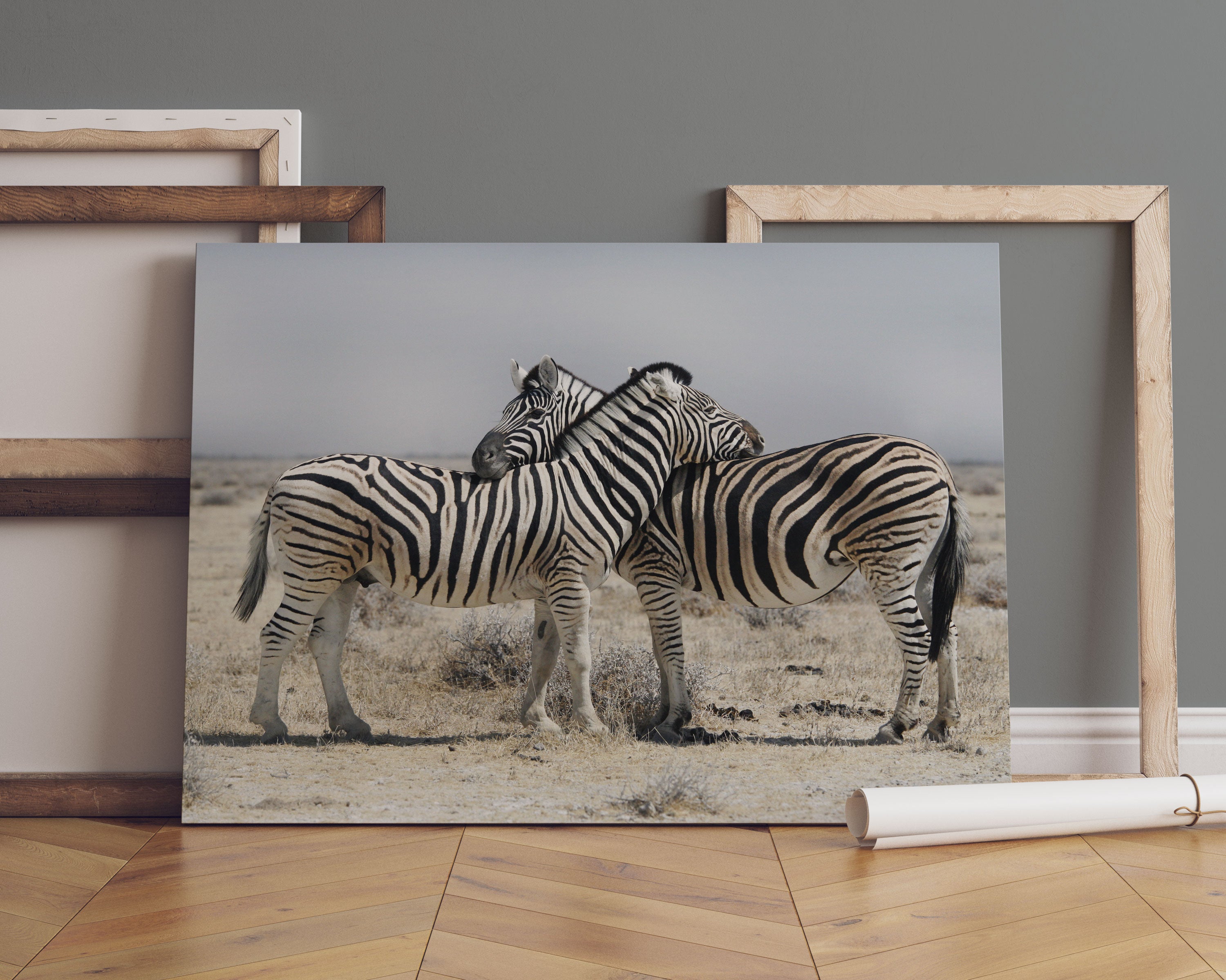 Schmusende Zebras Leinwandbild Sofa