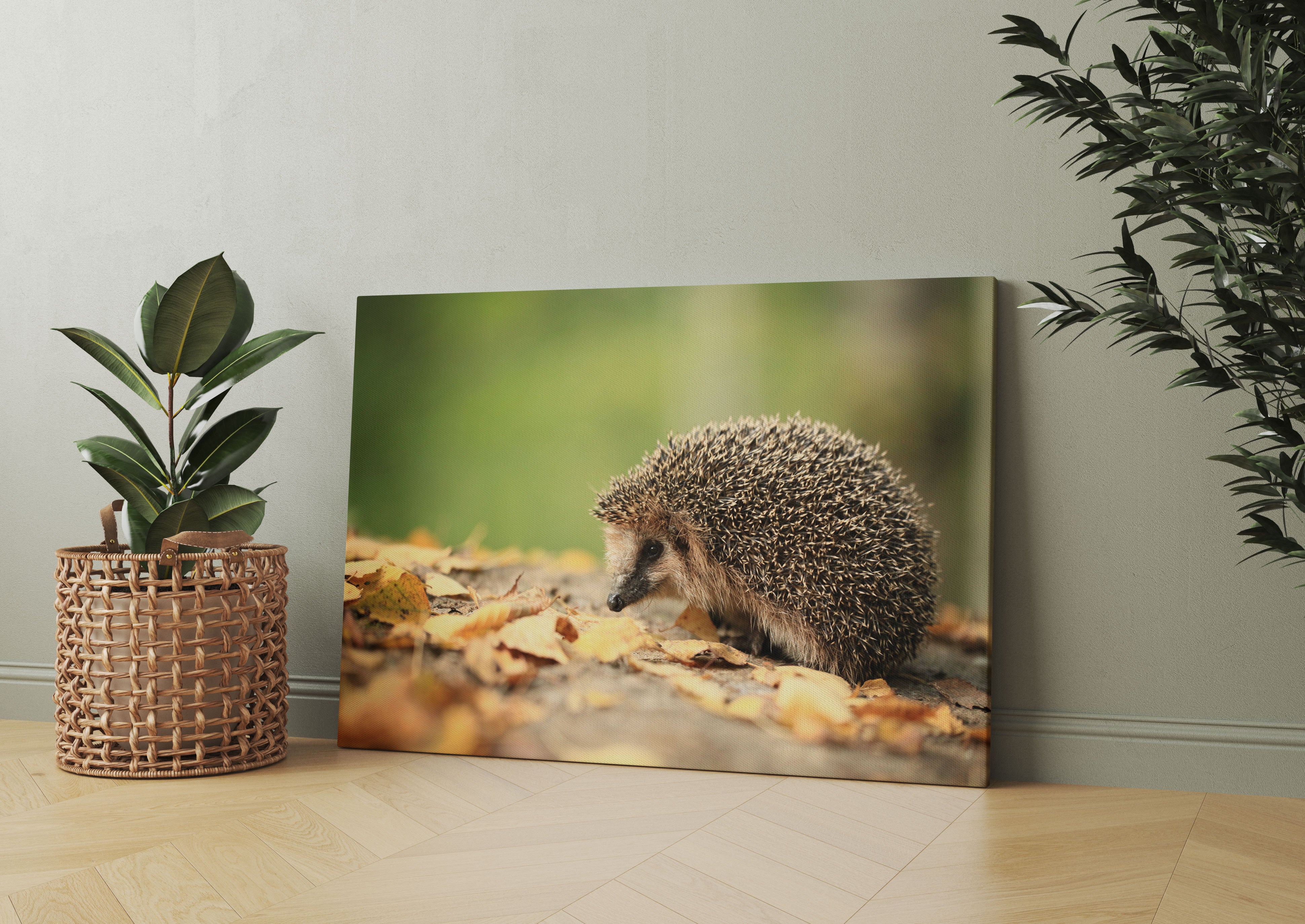 Igel im Laub Leinwandbild Wohnzimmer