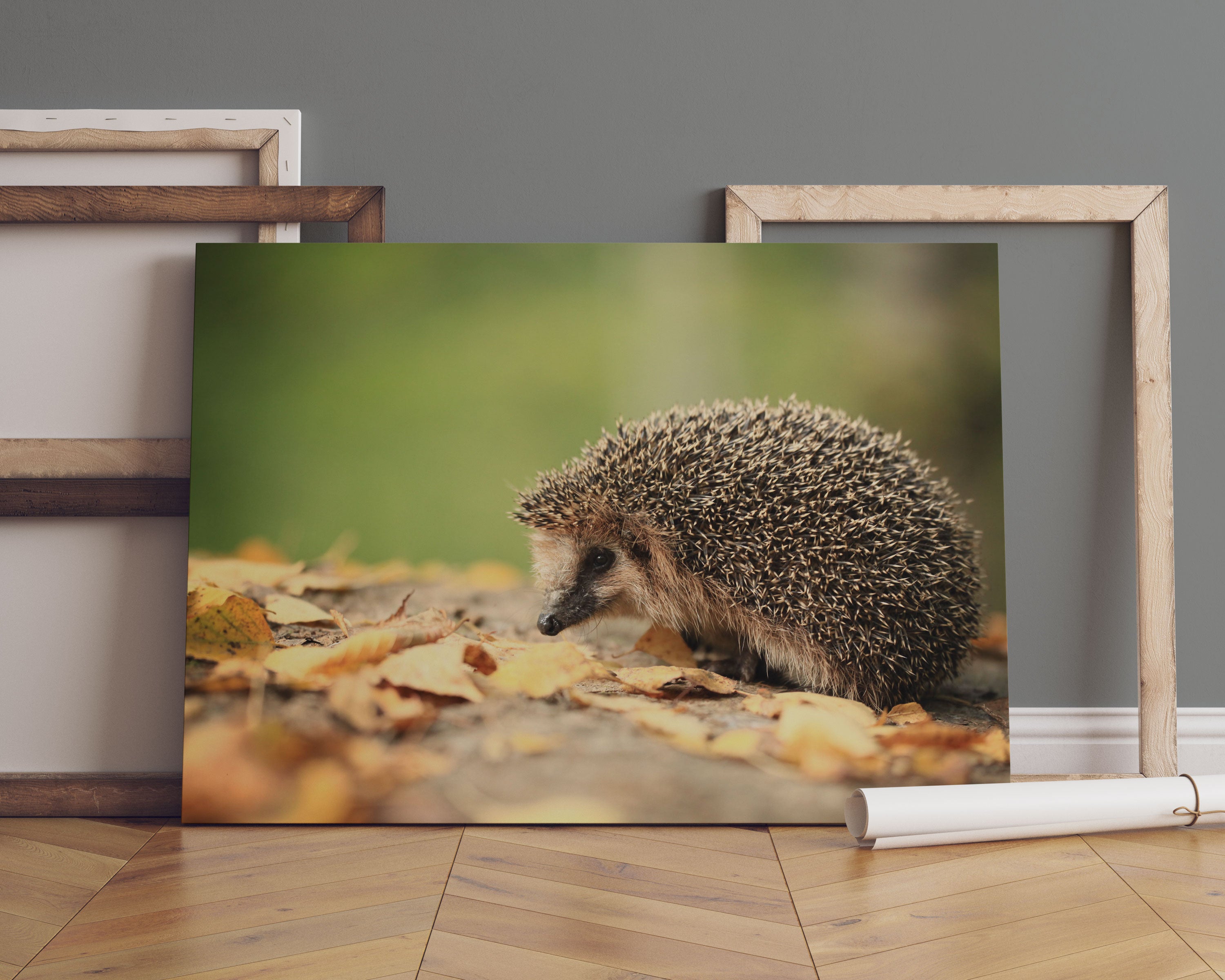 Igel im Laub Leinwandbild Sofa