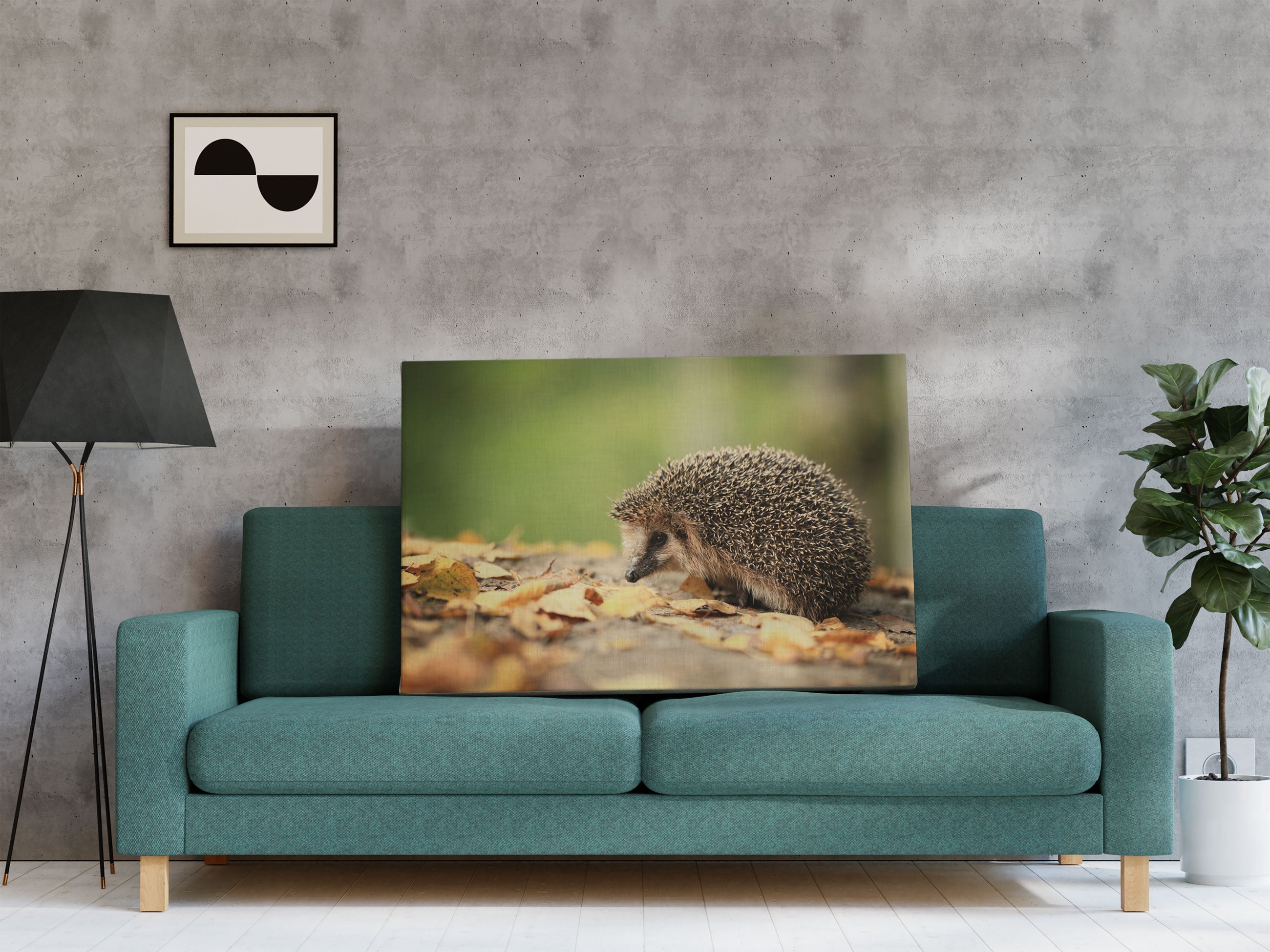 Igel im Laub Leinwandbild Regal