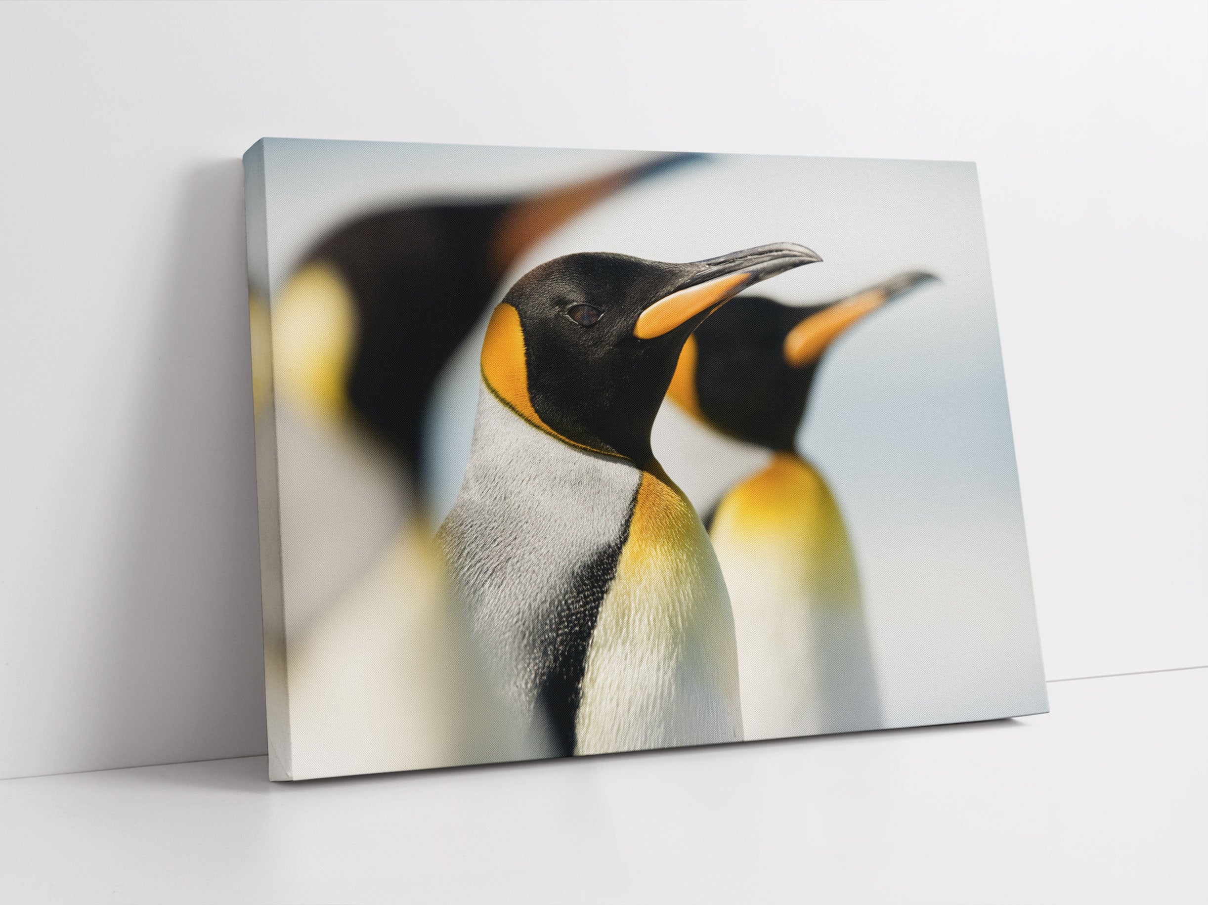 Pinguine Leinwandbild Studio