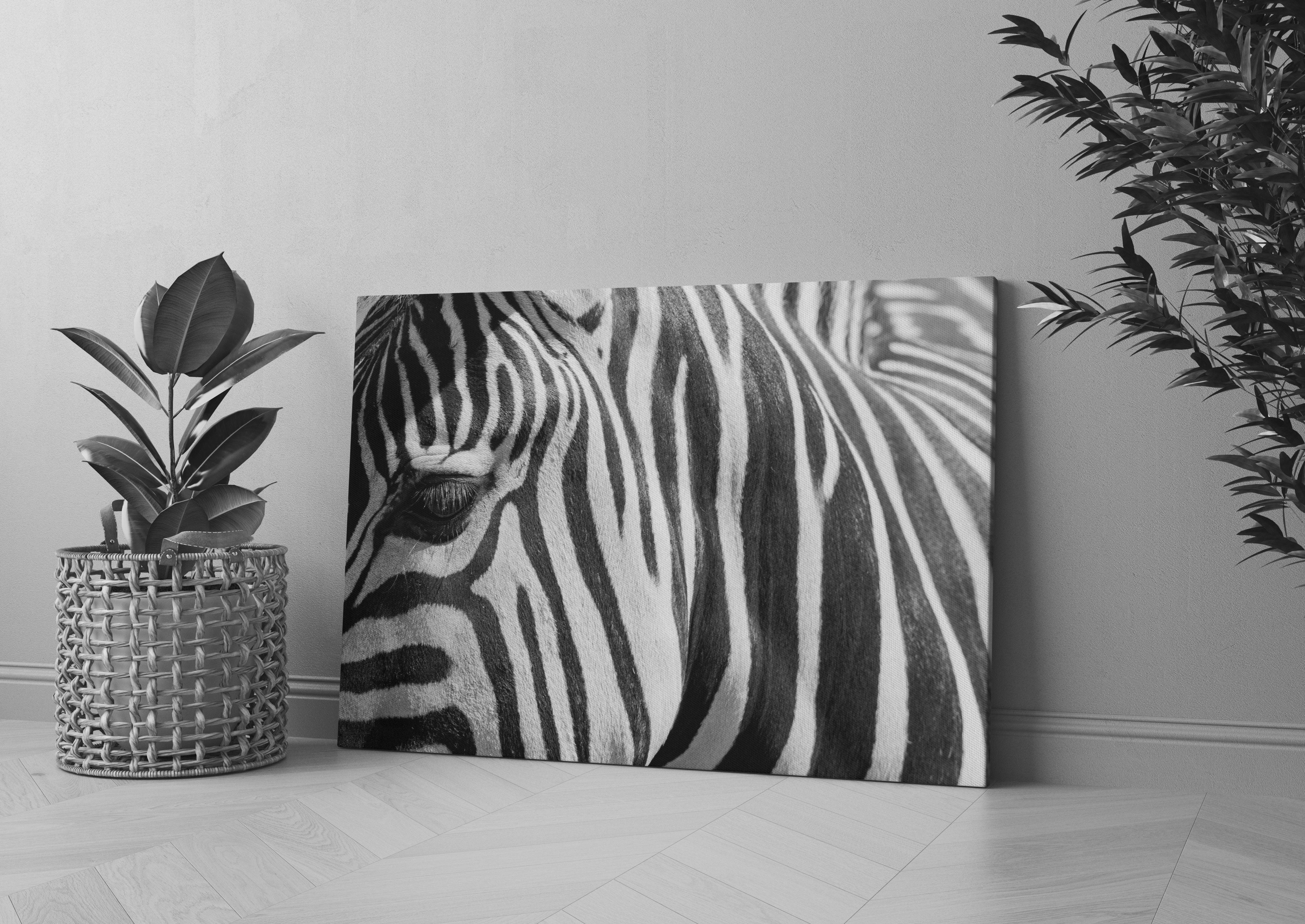 Zebra Porträt Leinwandbild Wohnzimmer