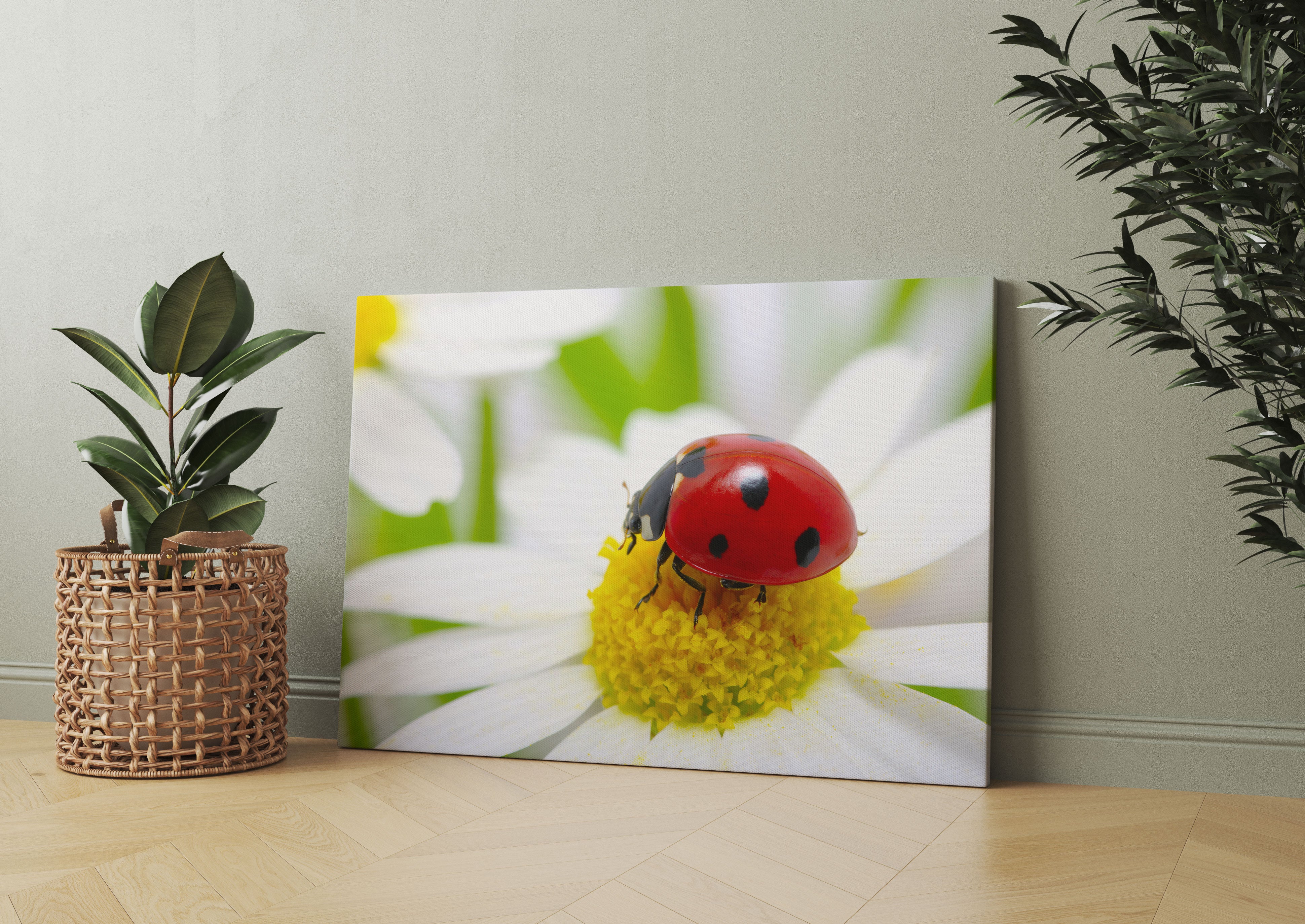 Marienkäfer auf Gänseblümchen Leinwandbild Wohnzimmer