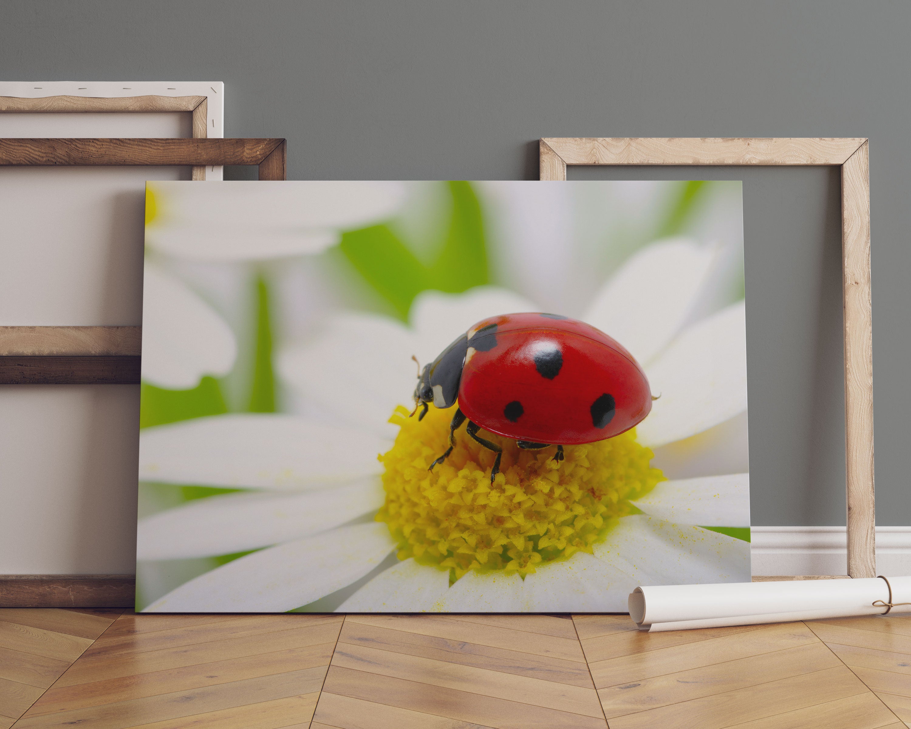 Marienkäfer auf Gänseblümchen Leinwandbild Sofa