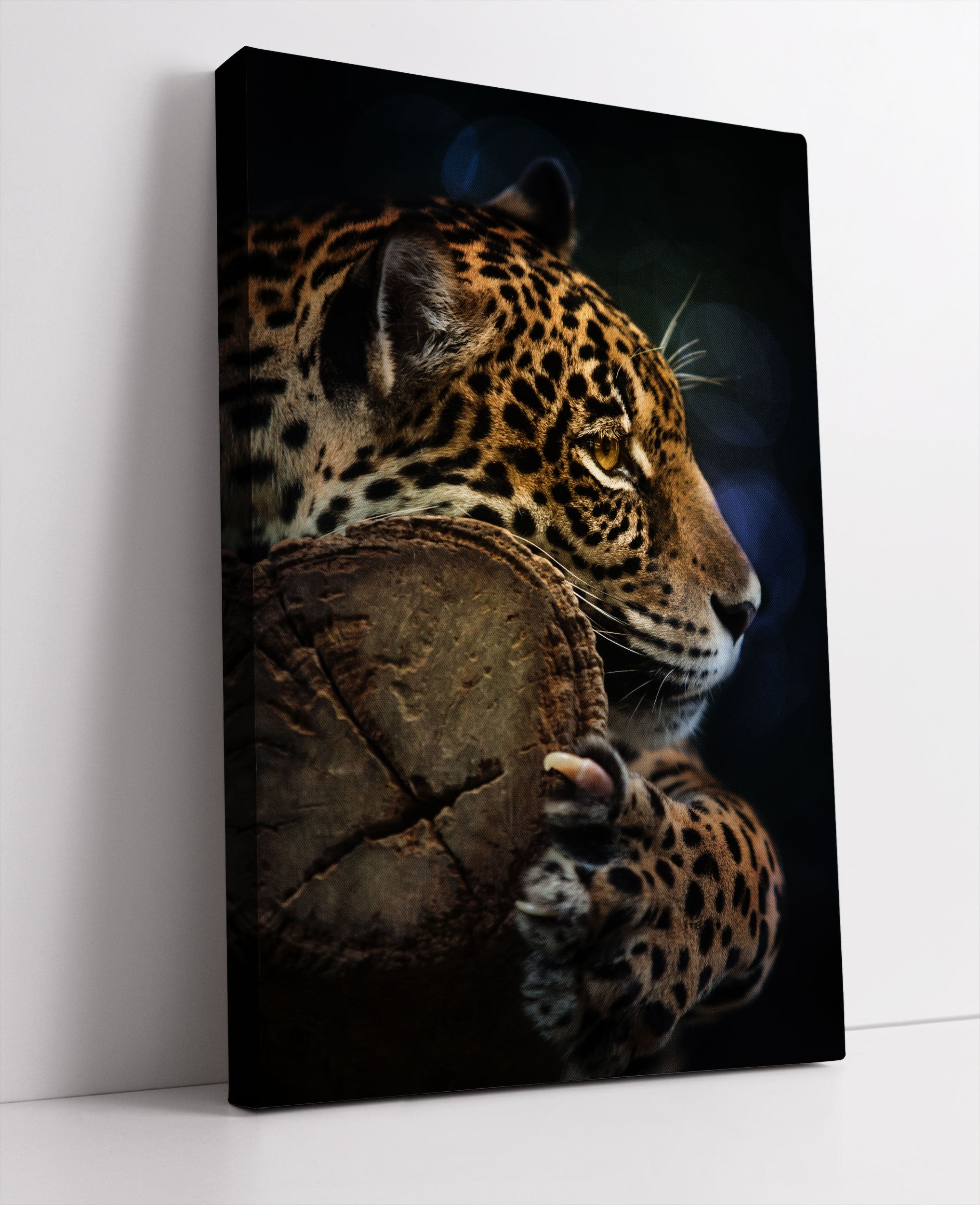 Wunderschöner Leopard Leinwandbild Studio