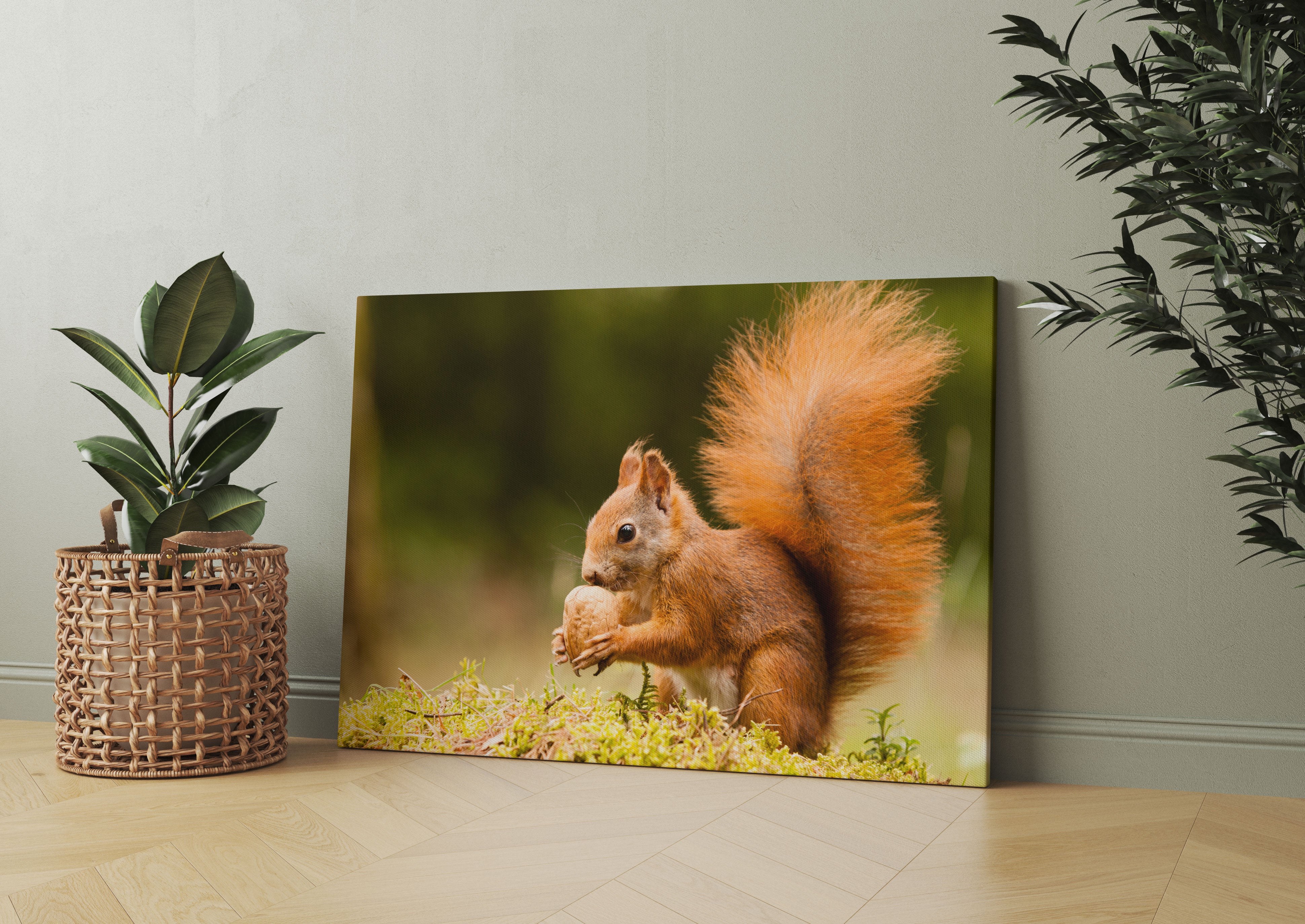 Eichhörnchen mit Nuss Leinwandbild Wohnzimmer