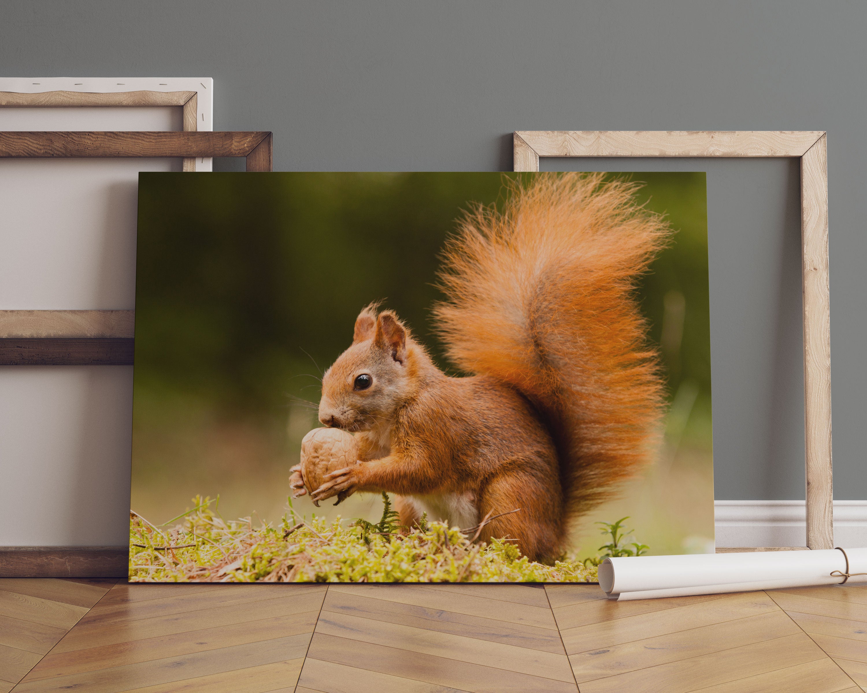 Eichhörnchen mit Nuss Leinwandbild Sofa