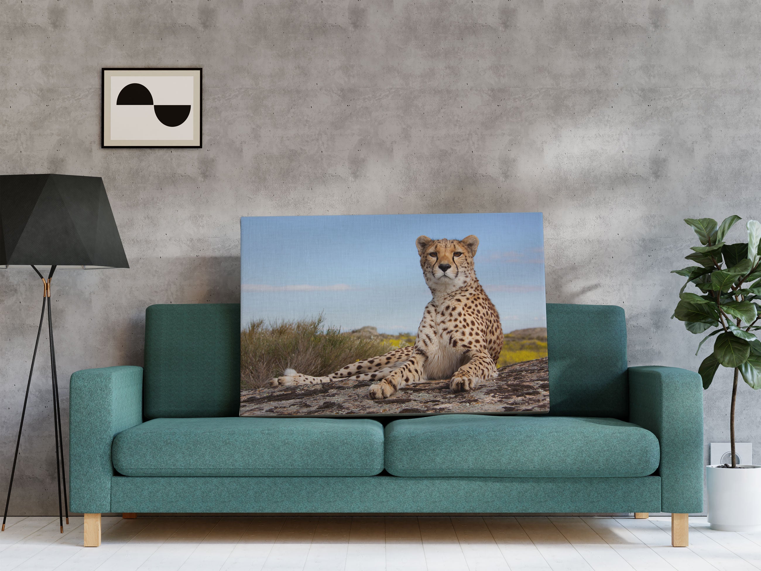 Gepard in Savanne Leinwandbild Regal