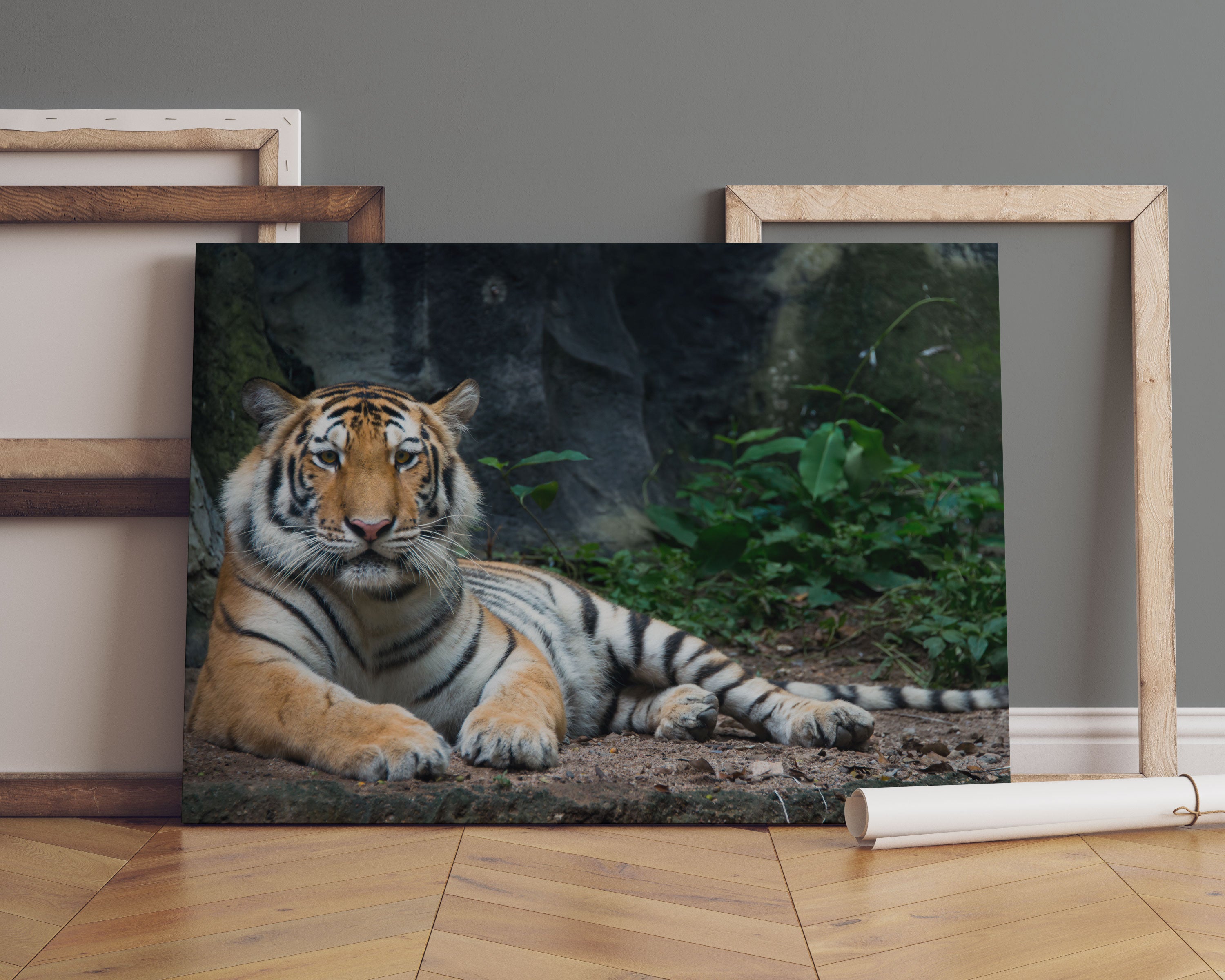 Liegender Tiger Leinwandbild Sofa