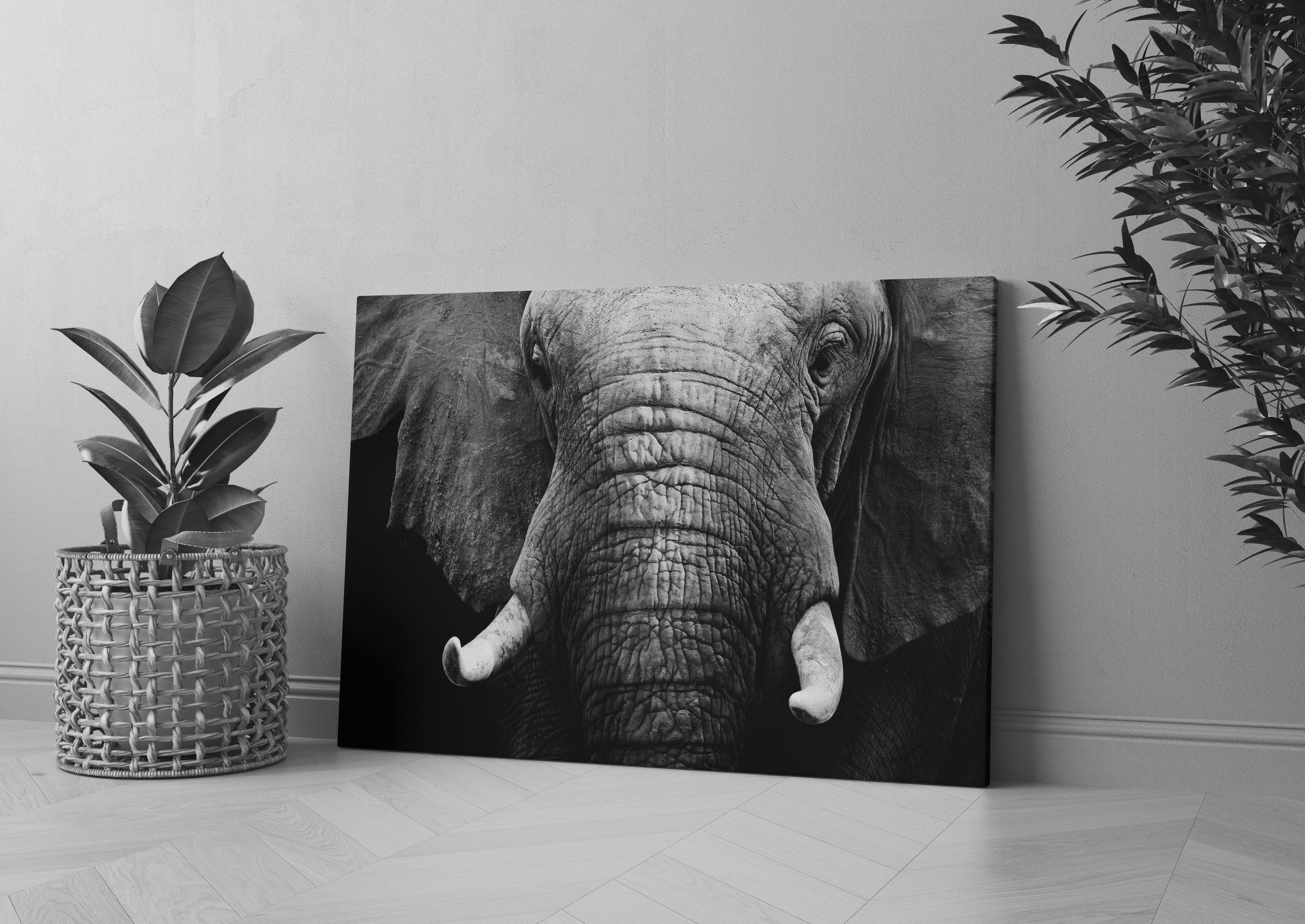 Elefant Porträt Leinwandbild Wohnzimmer