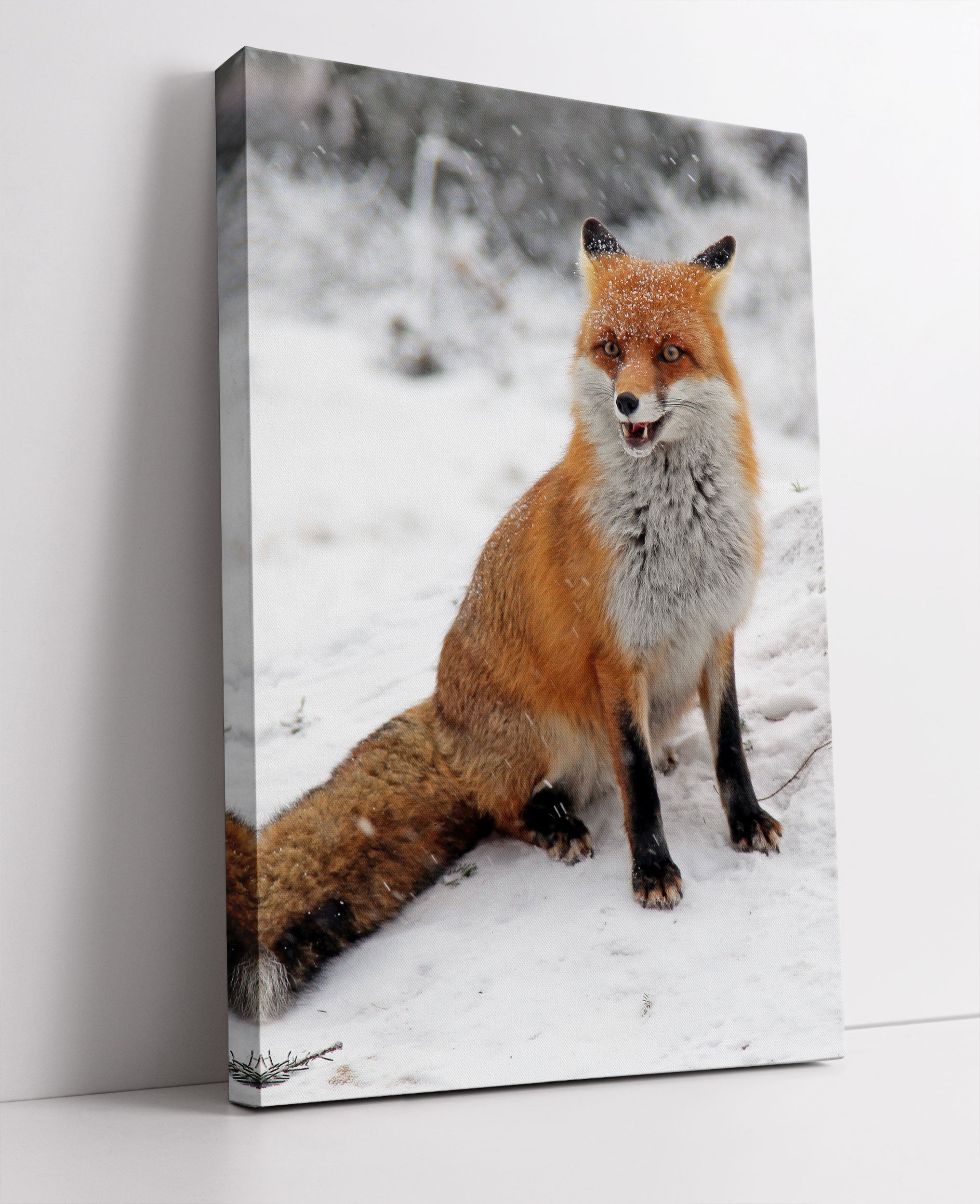 Fuchs im Schnee Leinwandbild Studio