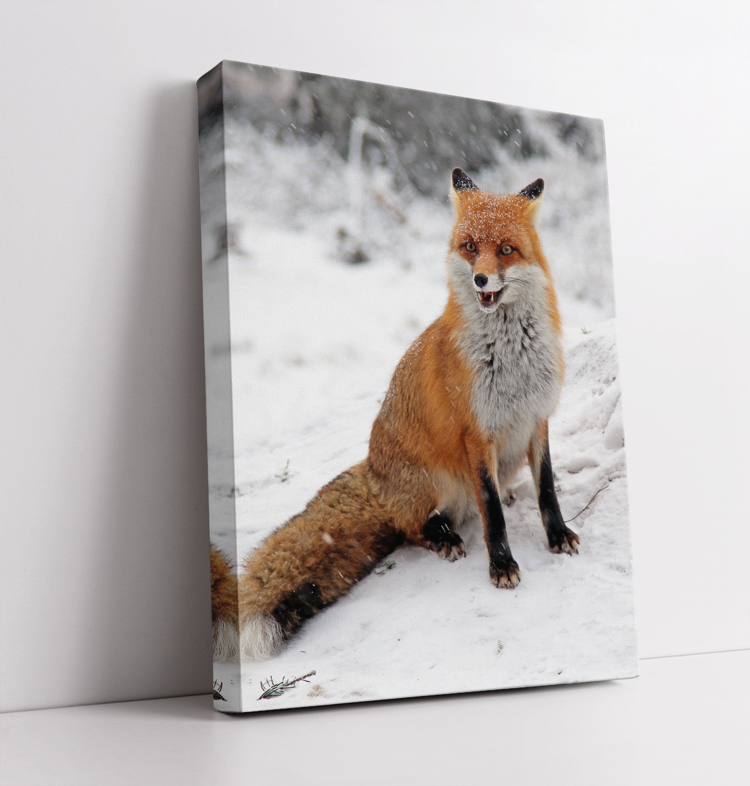 Fuchs im Schnee - Leinwandbild