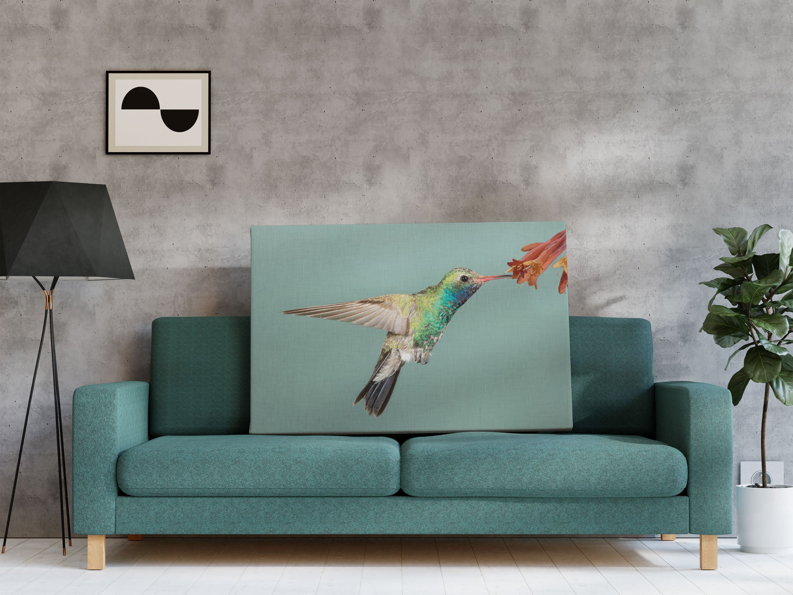 Bunter Kolibri Leinwandbild Regal