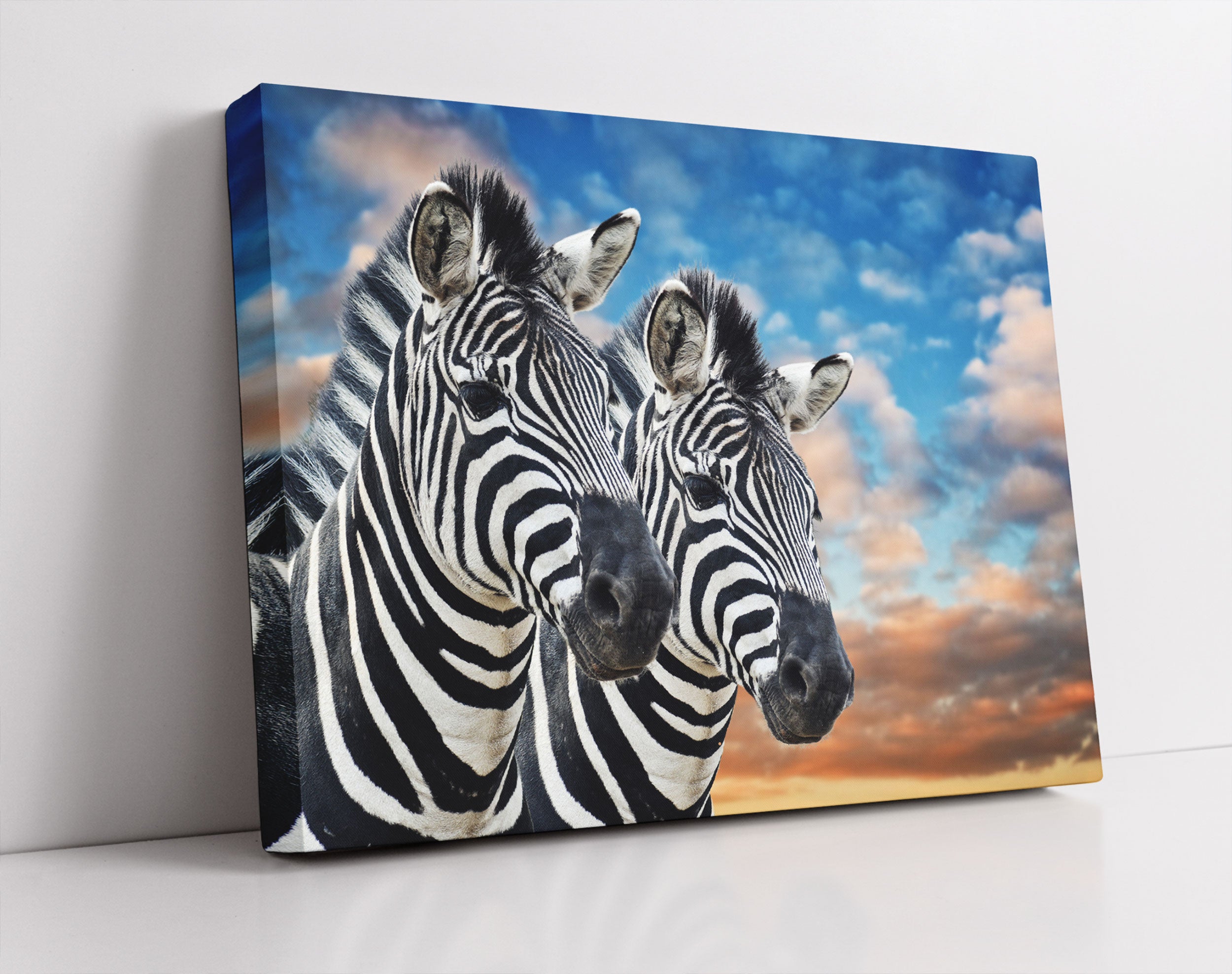 Zebra Pärchen - Leinwandbild