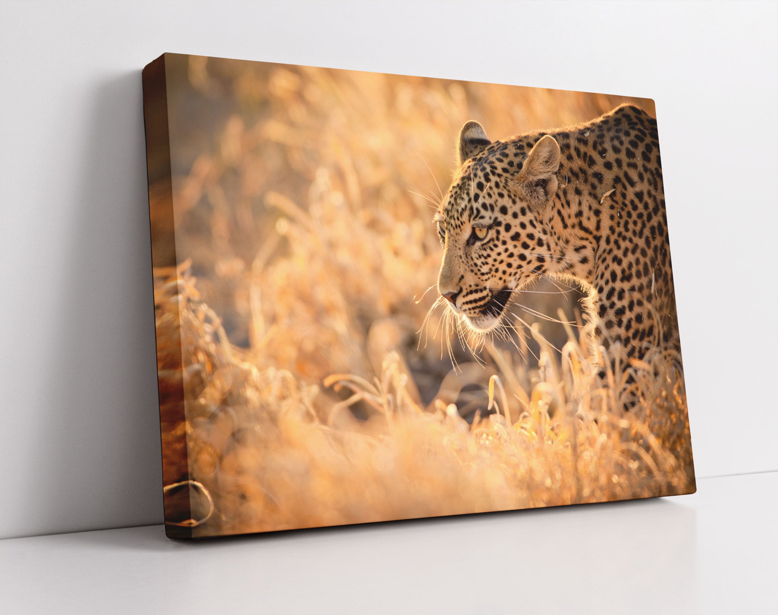 Jagender Leopard - Leinwandbild