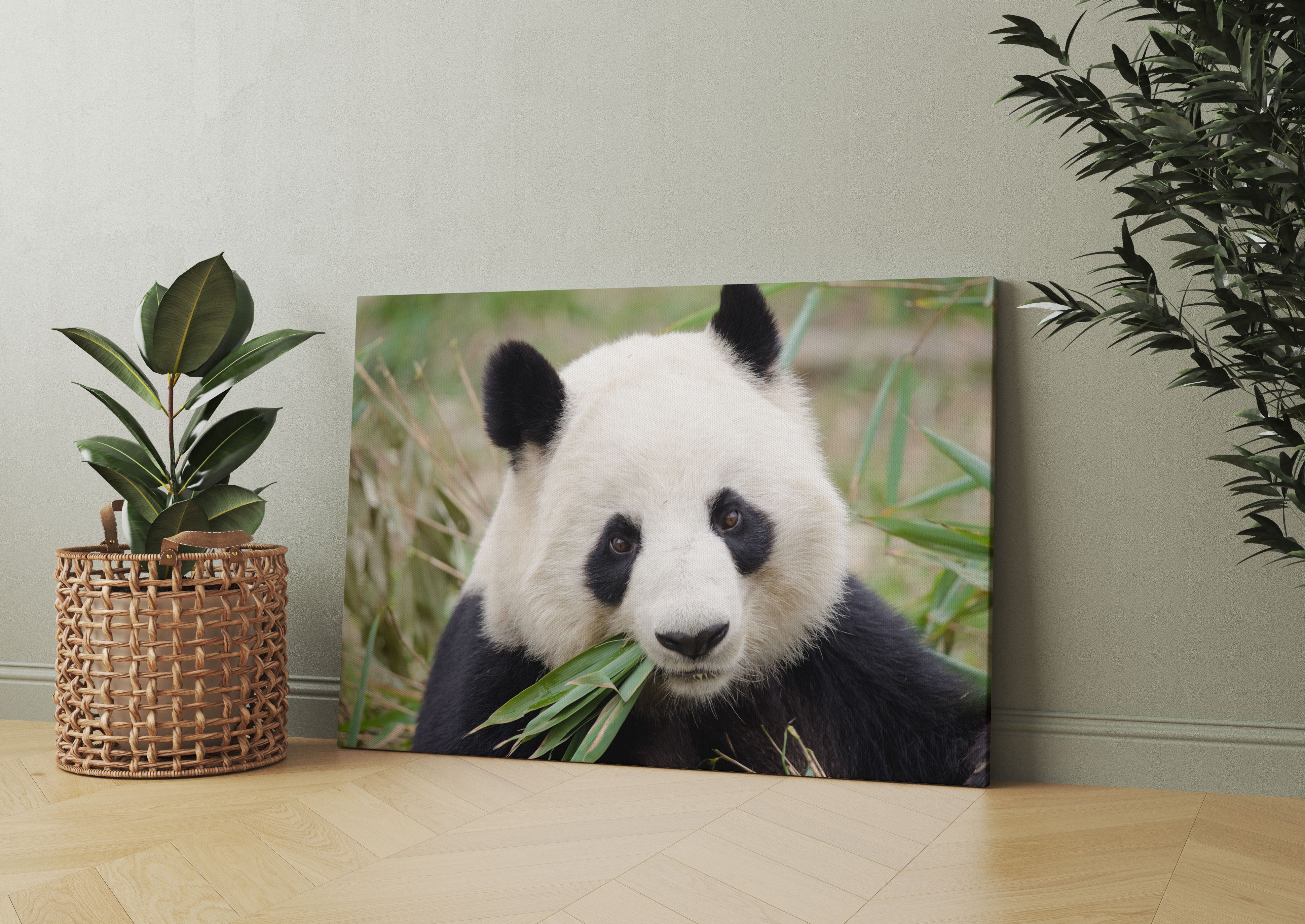 Pandabär frisst Bambus Leinwandbild Wohnzimmer