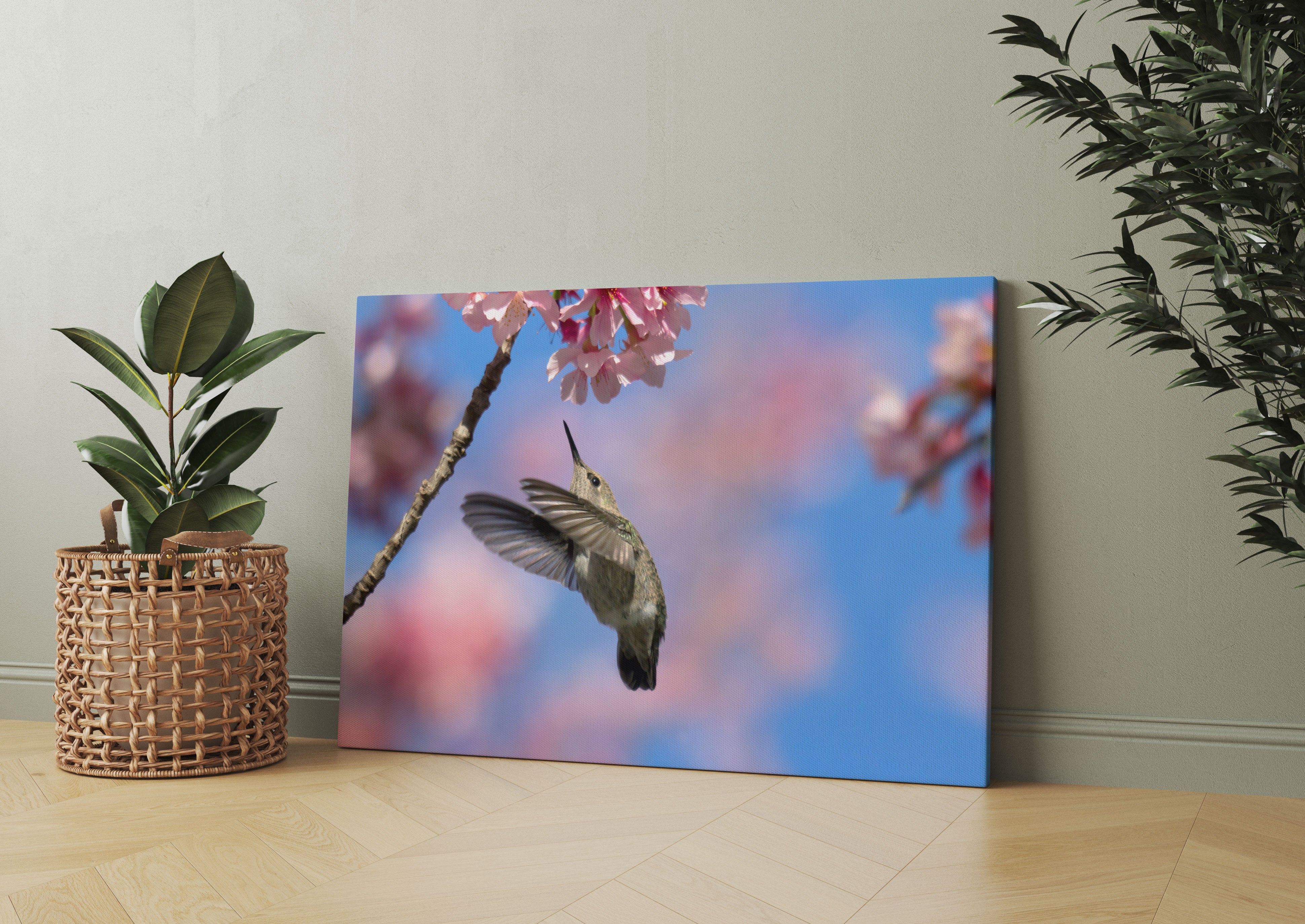 Kolibri an Kirschblüte Leinwandbild Wohnzimmer