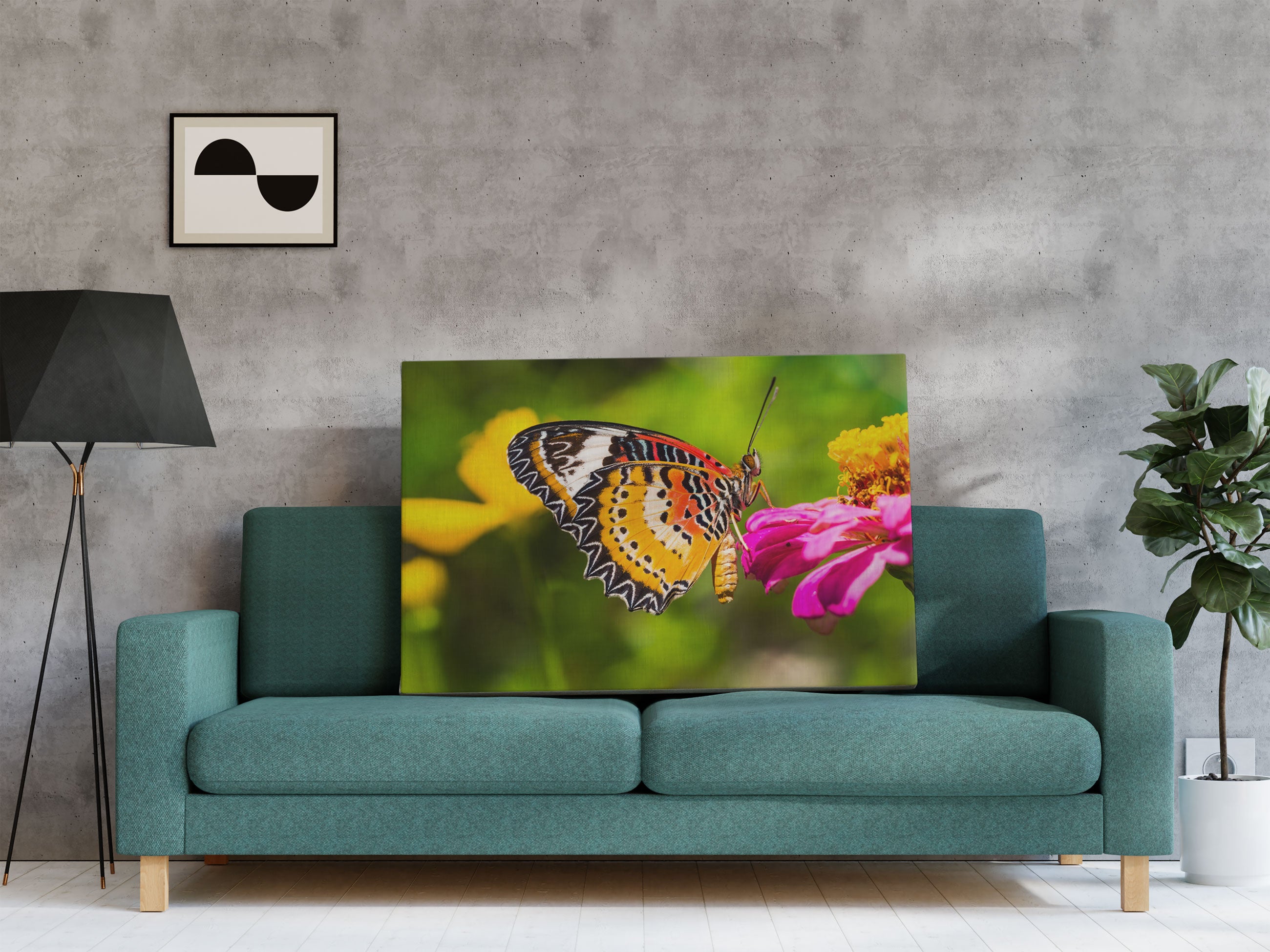 Schmetterling auf Blüte Leinwandbild Regal