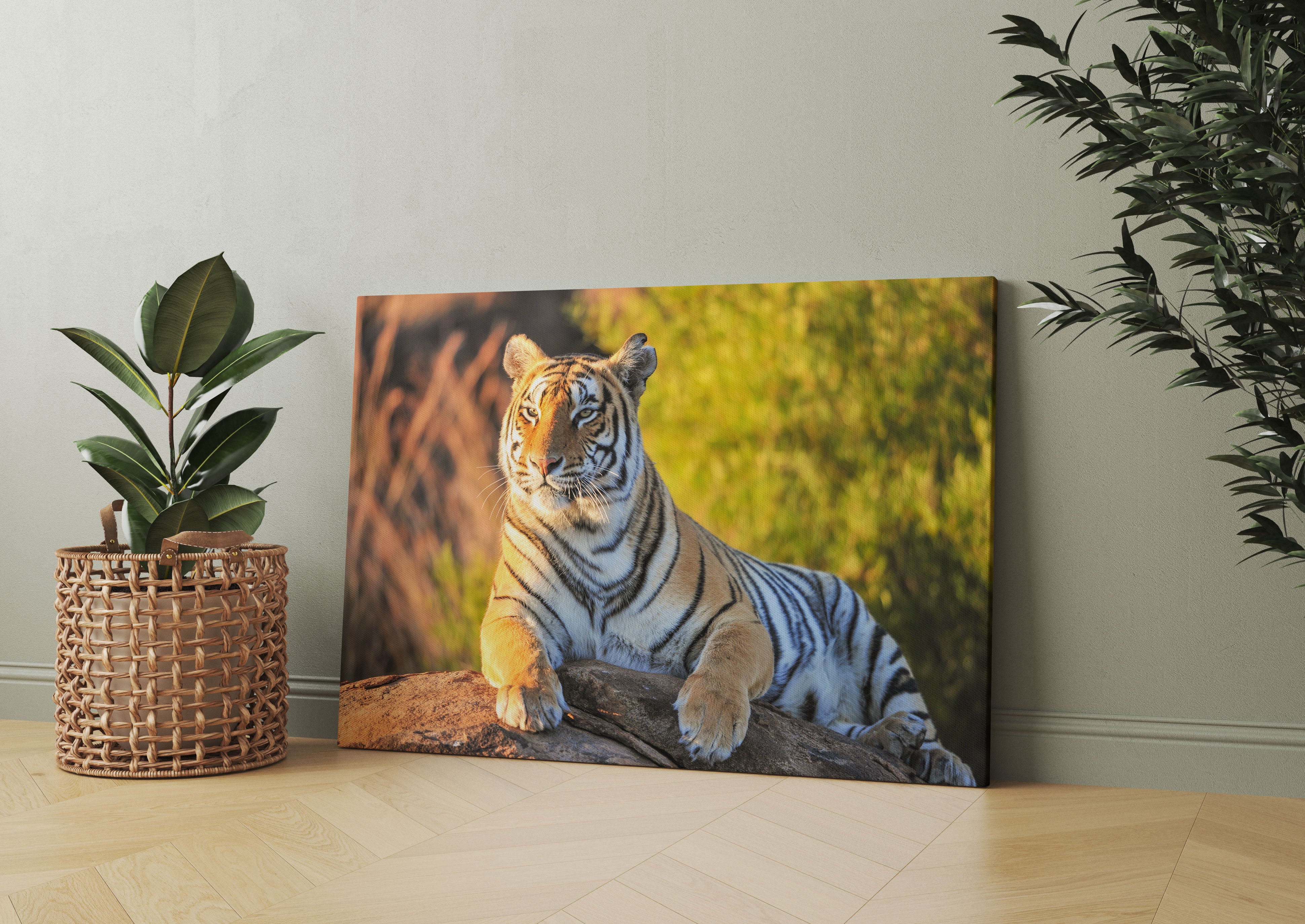 Stolzer Tiger Leinwandbild Wohnzimmer