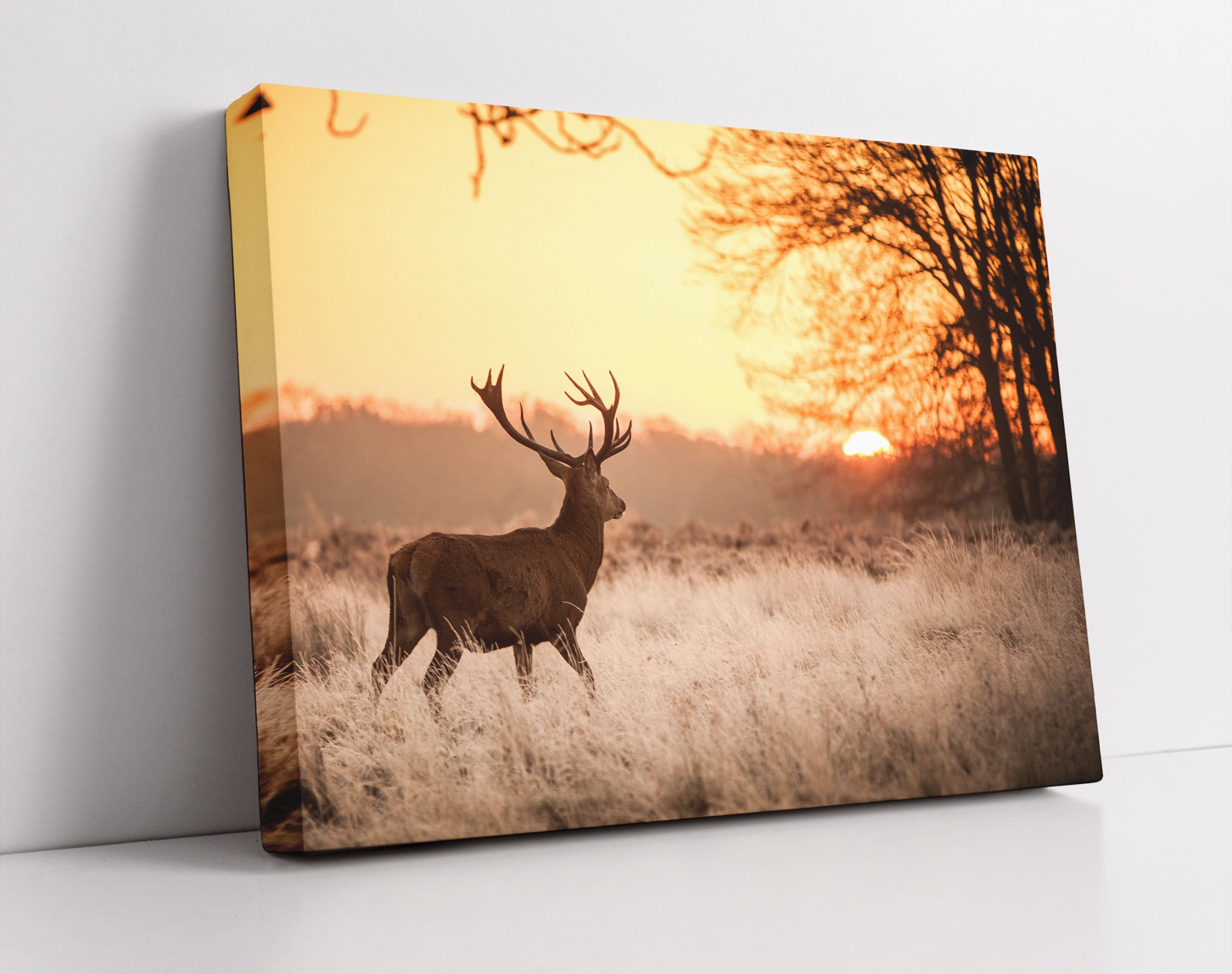 Hirsch im Sonnenuntergang - Leinwandbild