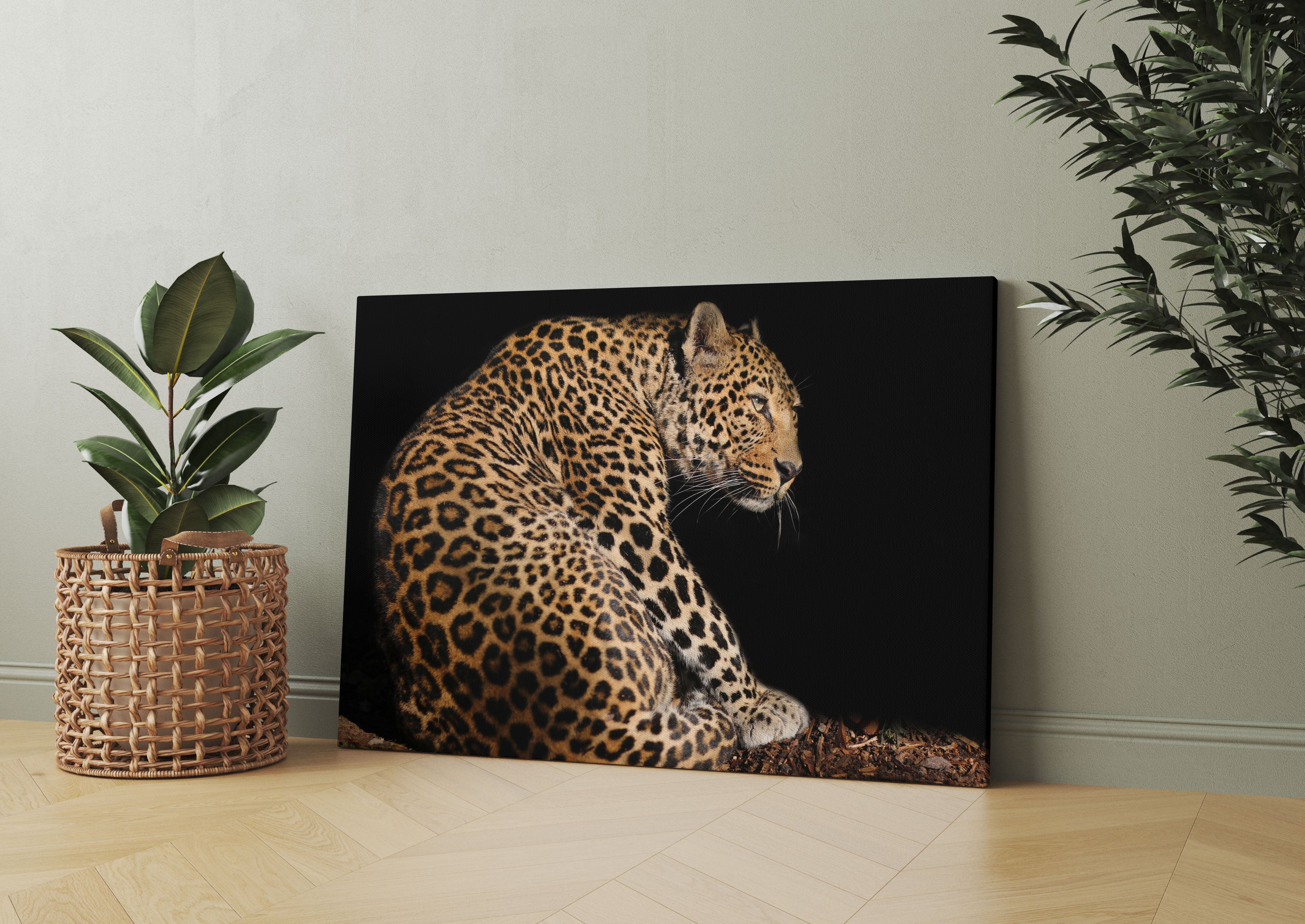 Anmutiger Leopard Leinwandbild Wohnzimmer