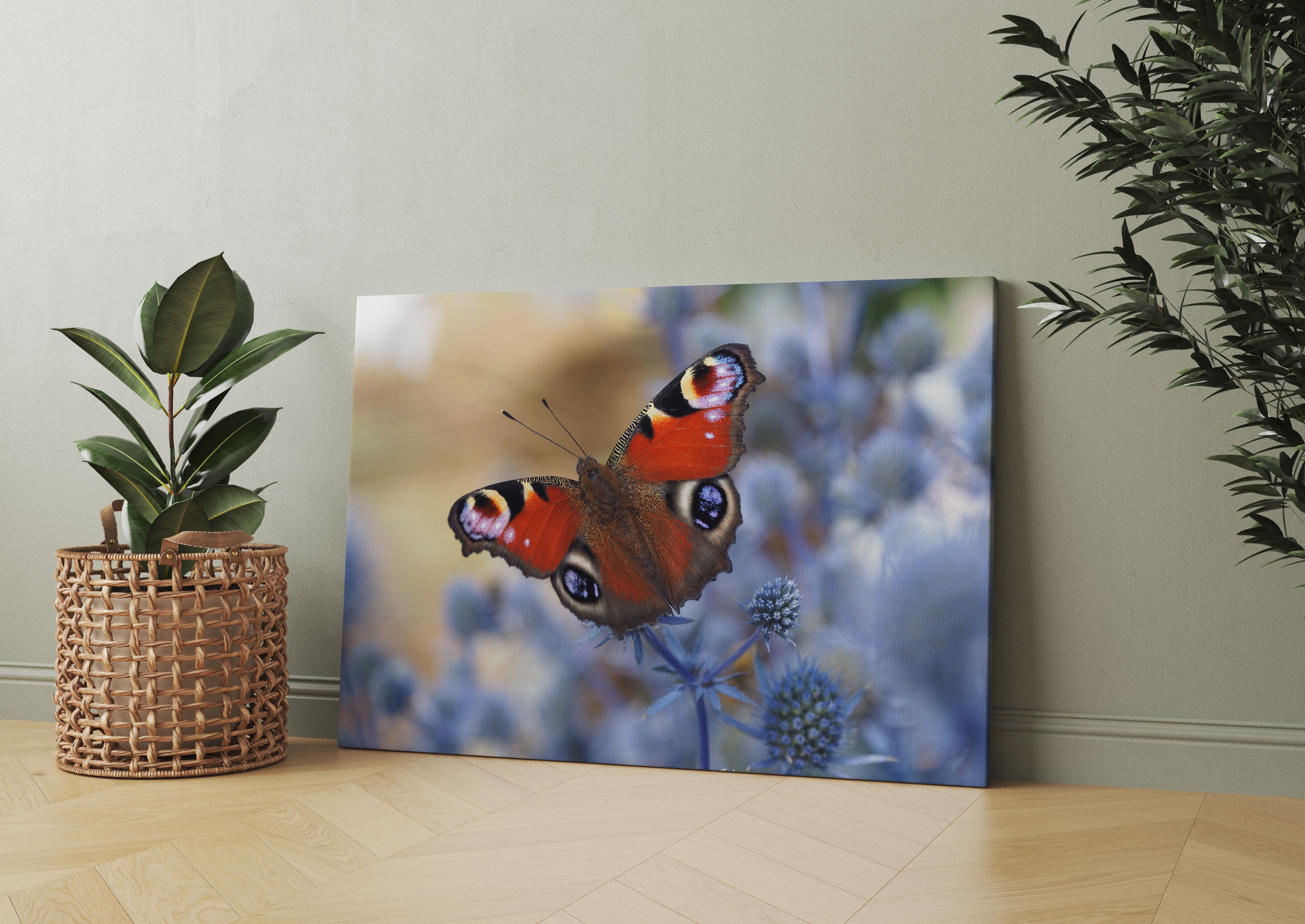 Schöner Schmetterling Pfauenauge Leinwandbild Wohnzimmer