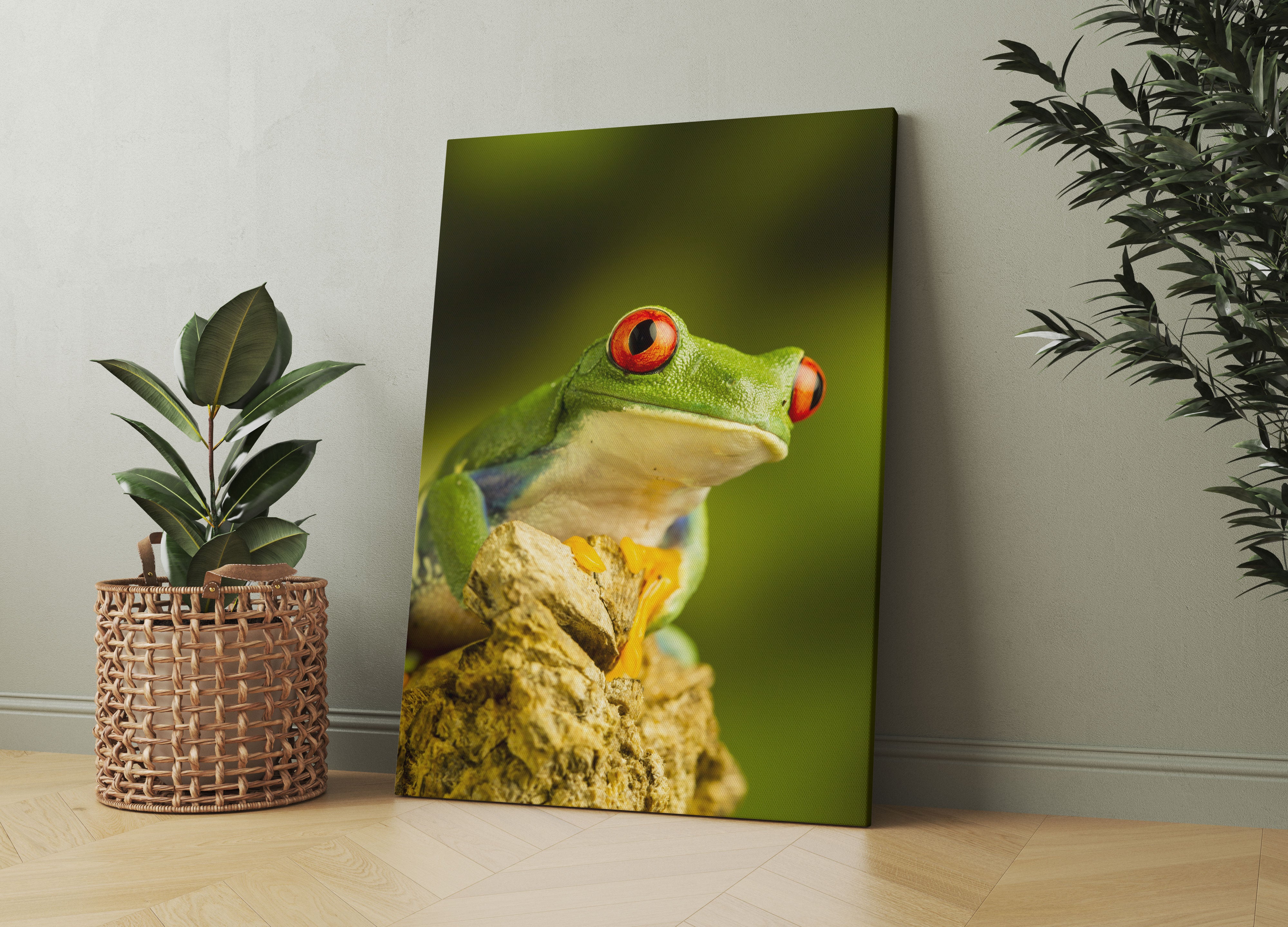 Grüner Rotaugen Frosch Leinwandbild Wohnzimmer