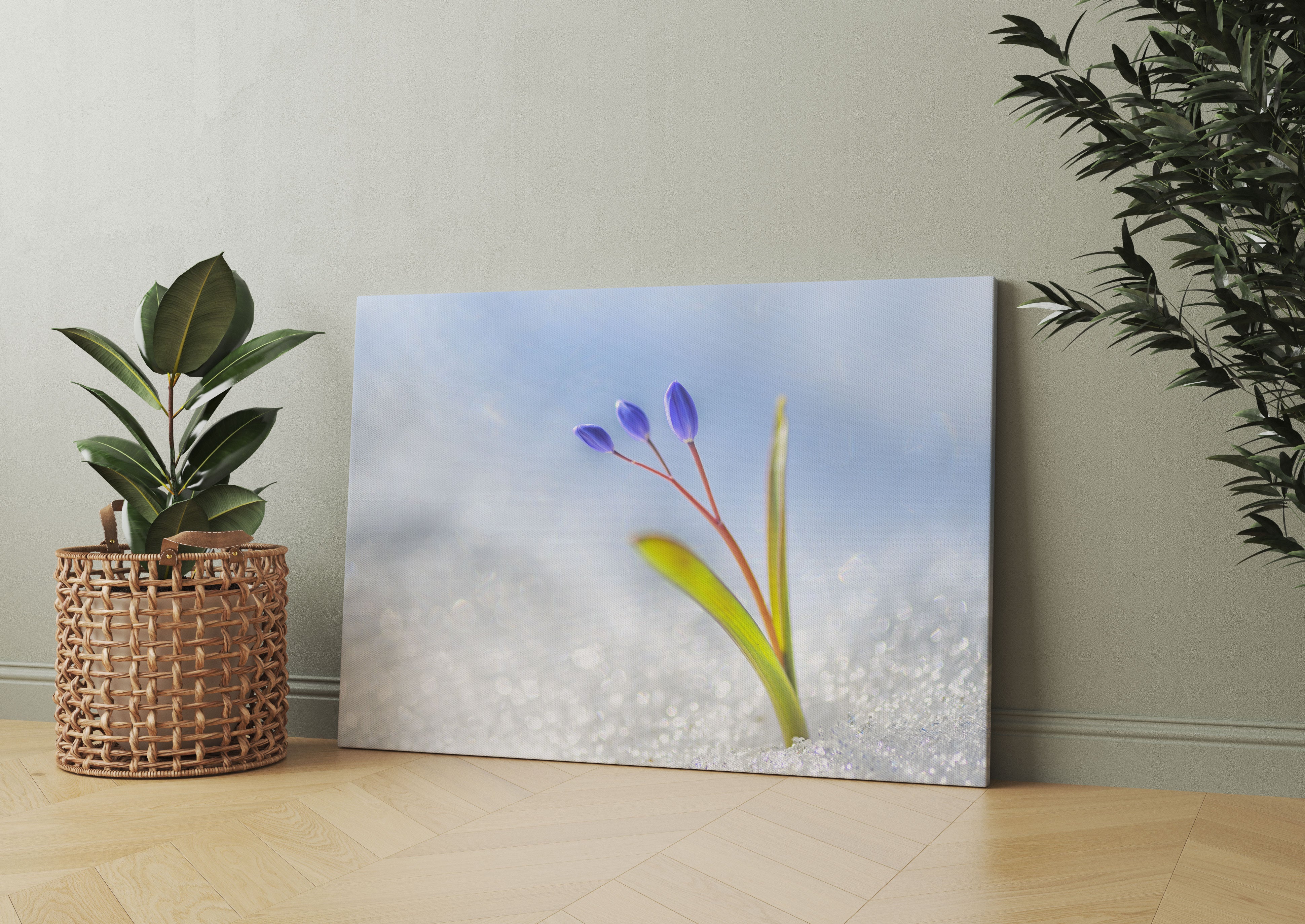 Blaue Knospen im Schnee Leinwandbild Wohnzimmer