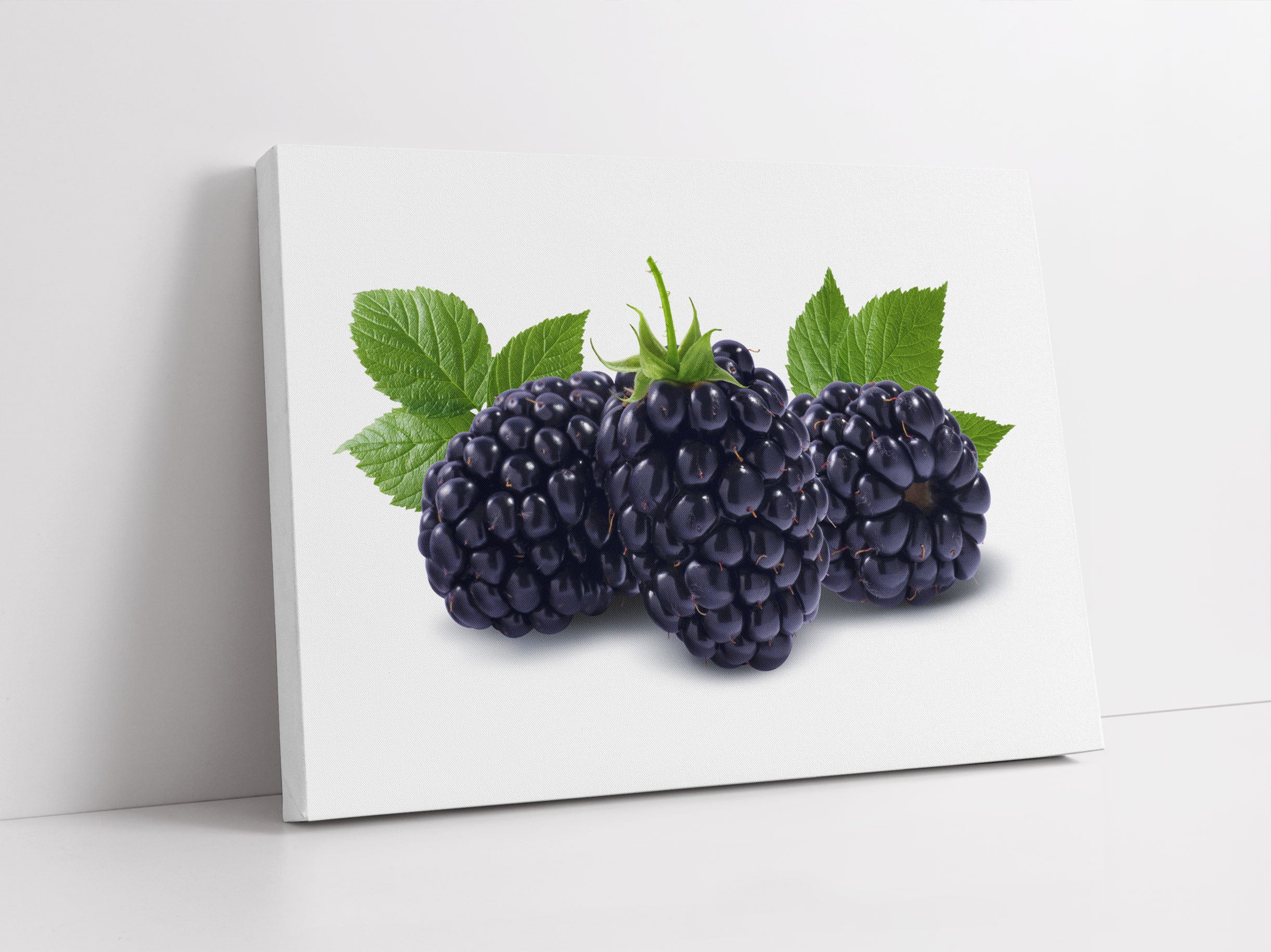 Leckere Brombeeren Leinwandbild Studio